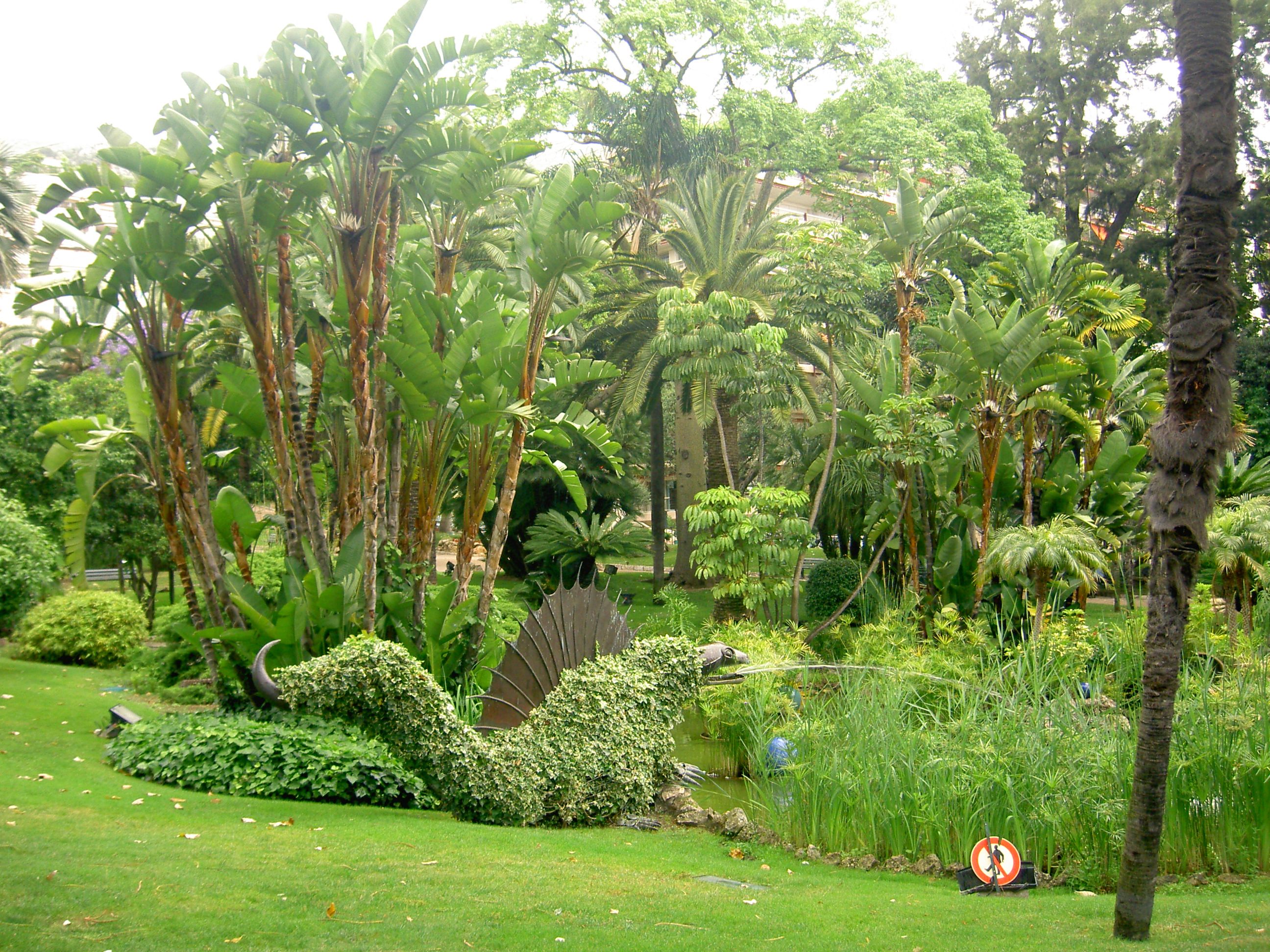 PICT8146.JPG