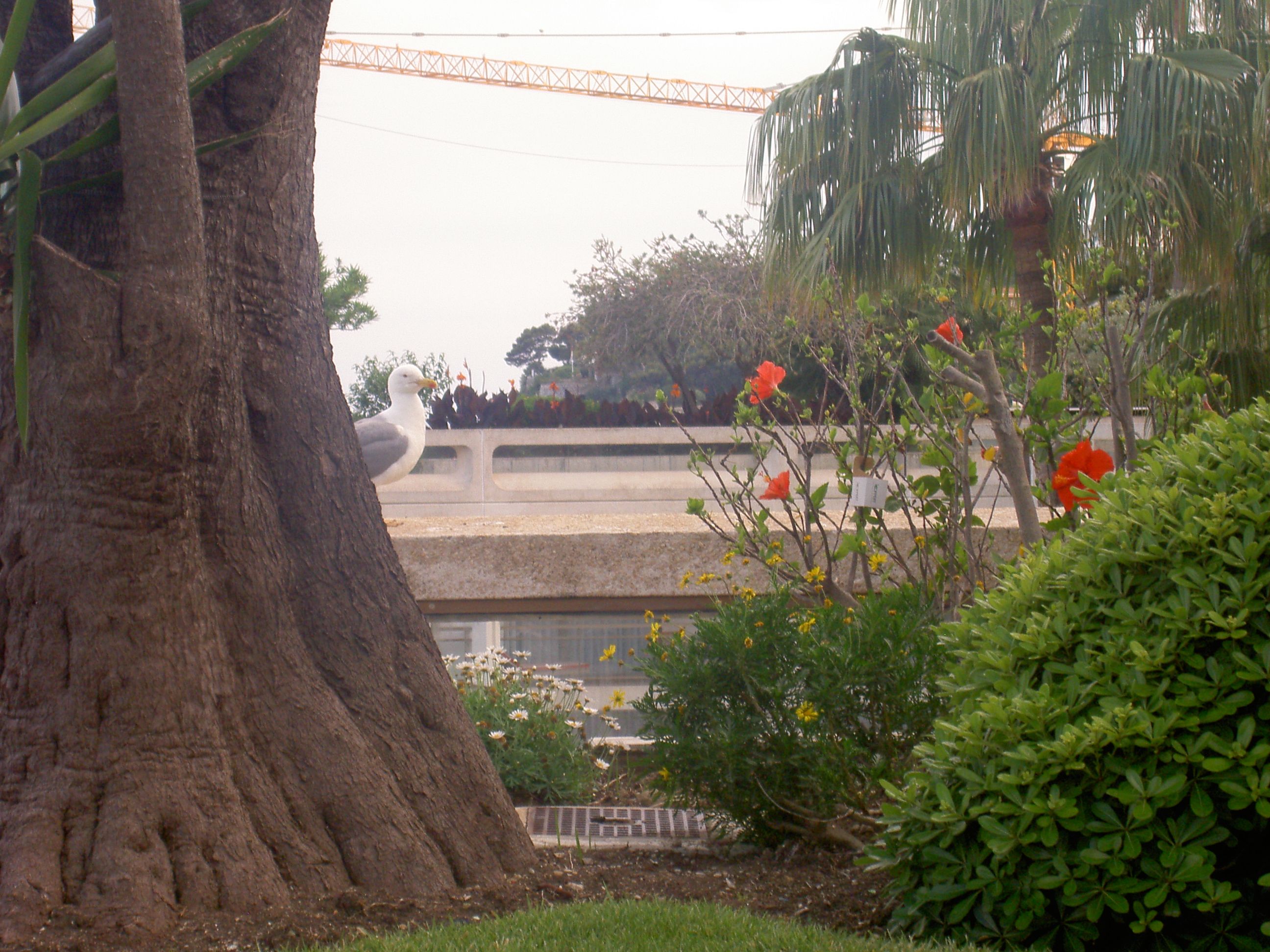 PICT8187.JPG