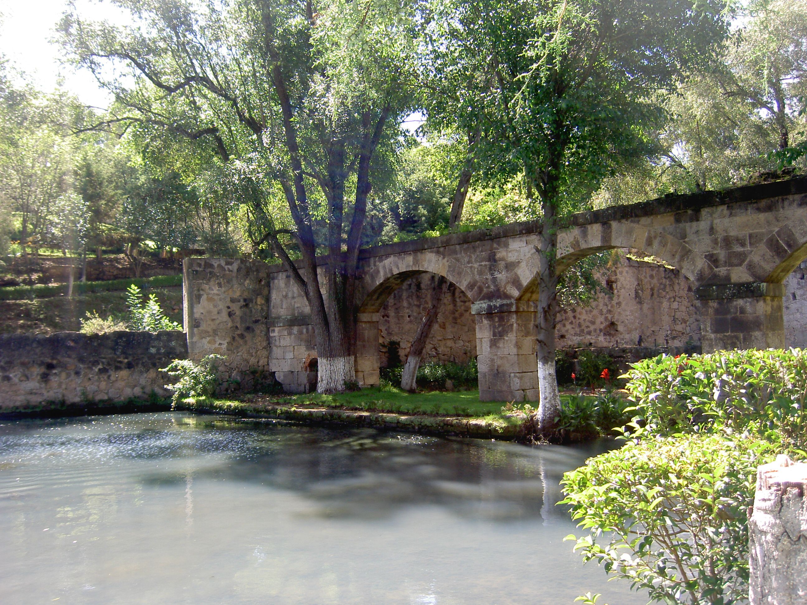 PICT6351.JPG
