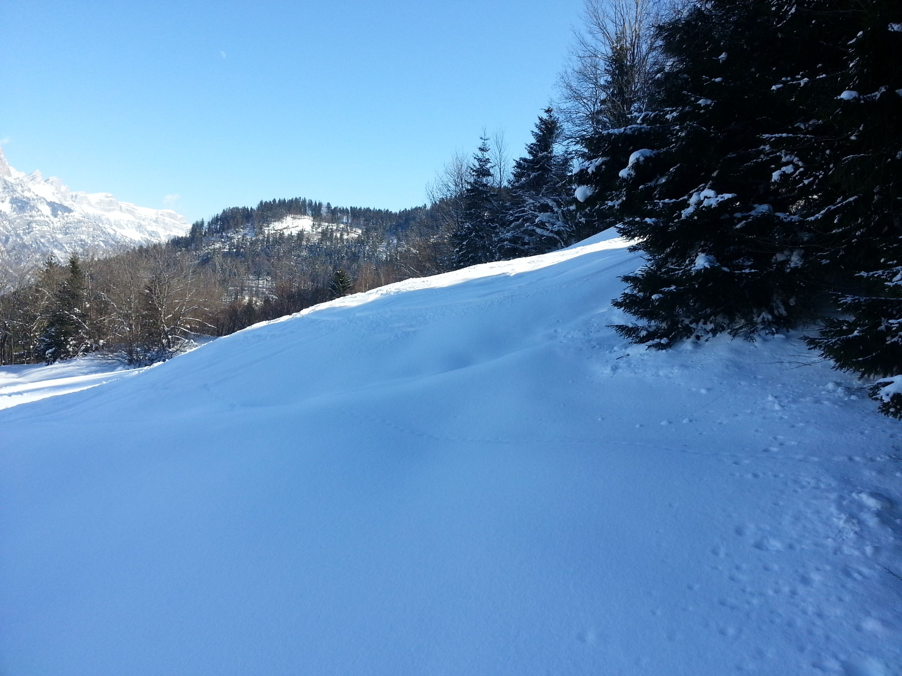 20130218_130013.jpg
