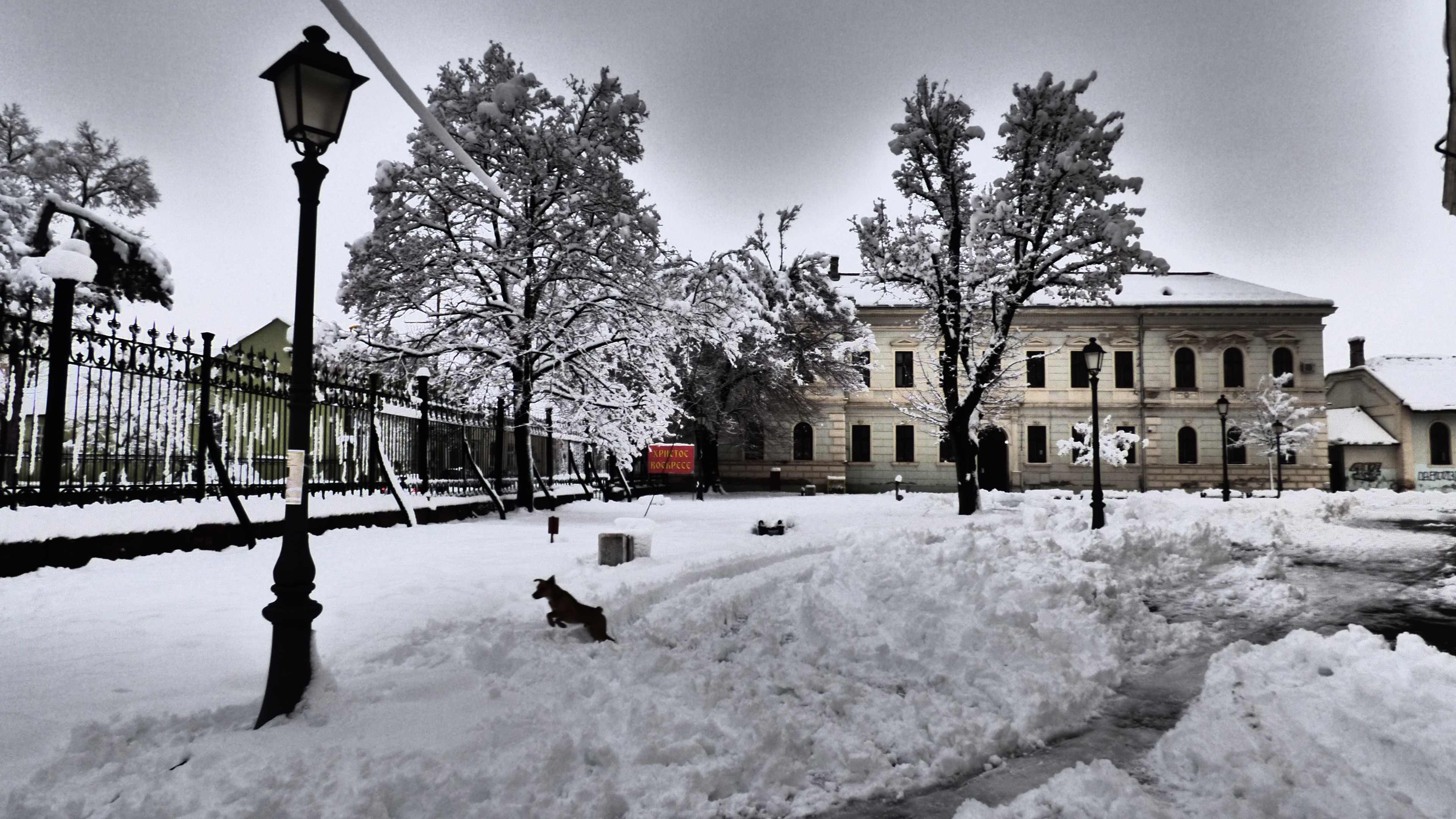 20181216_172132.jpg