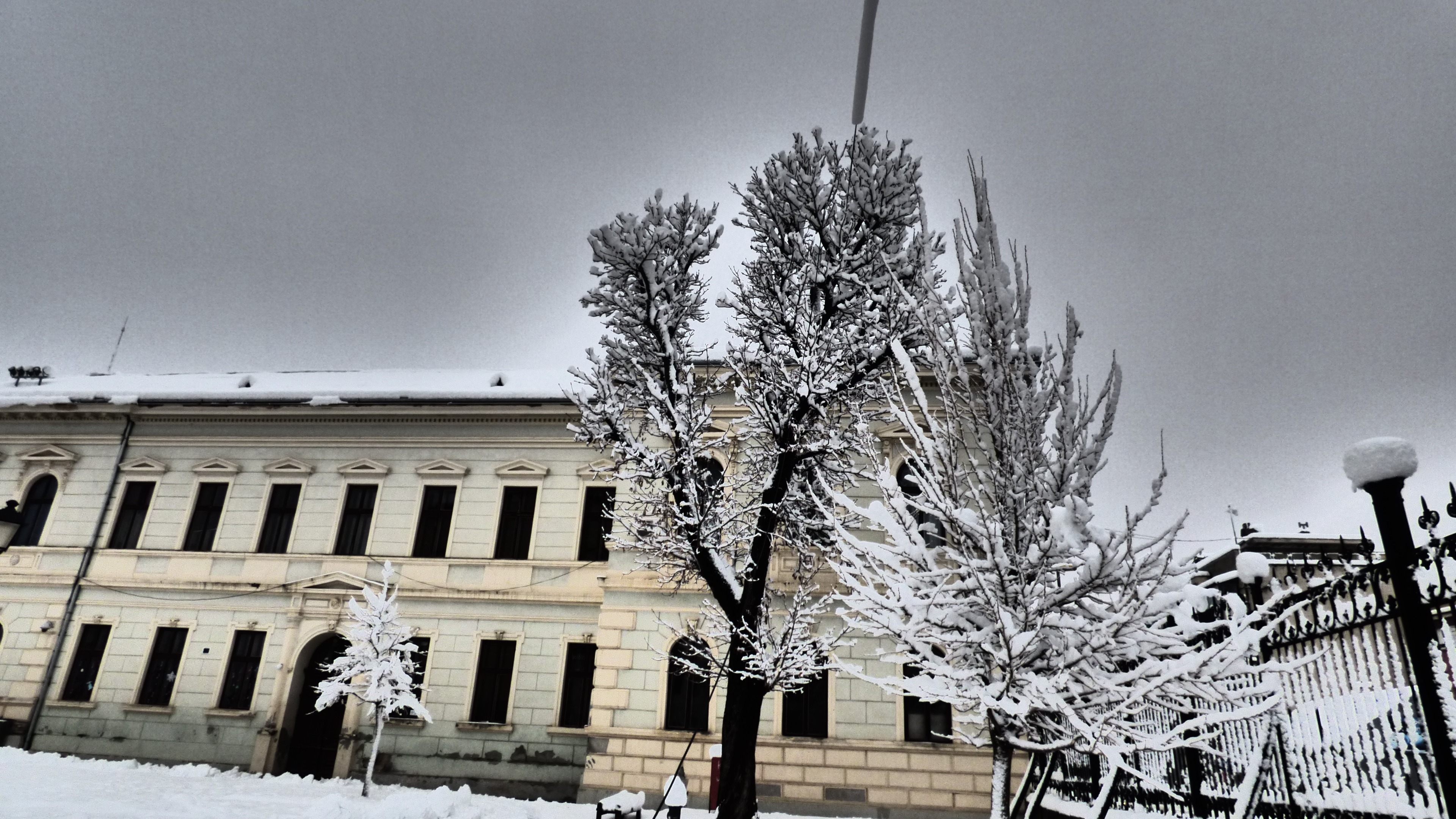 20181216_172122.jpg