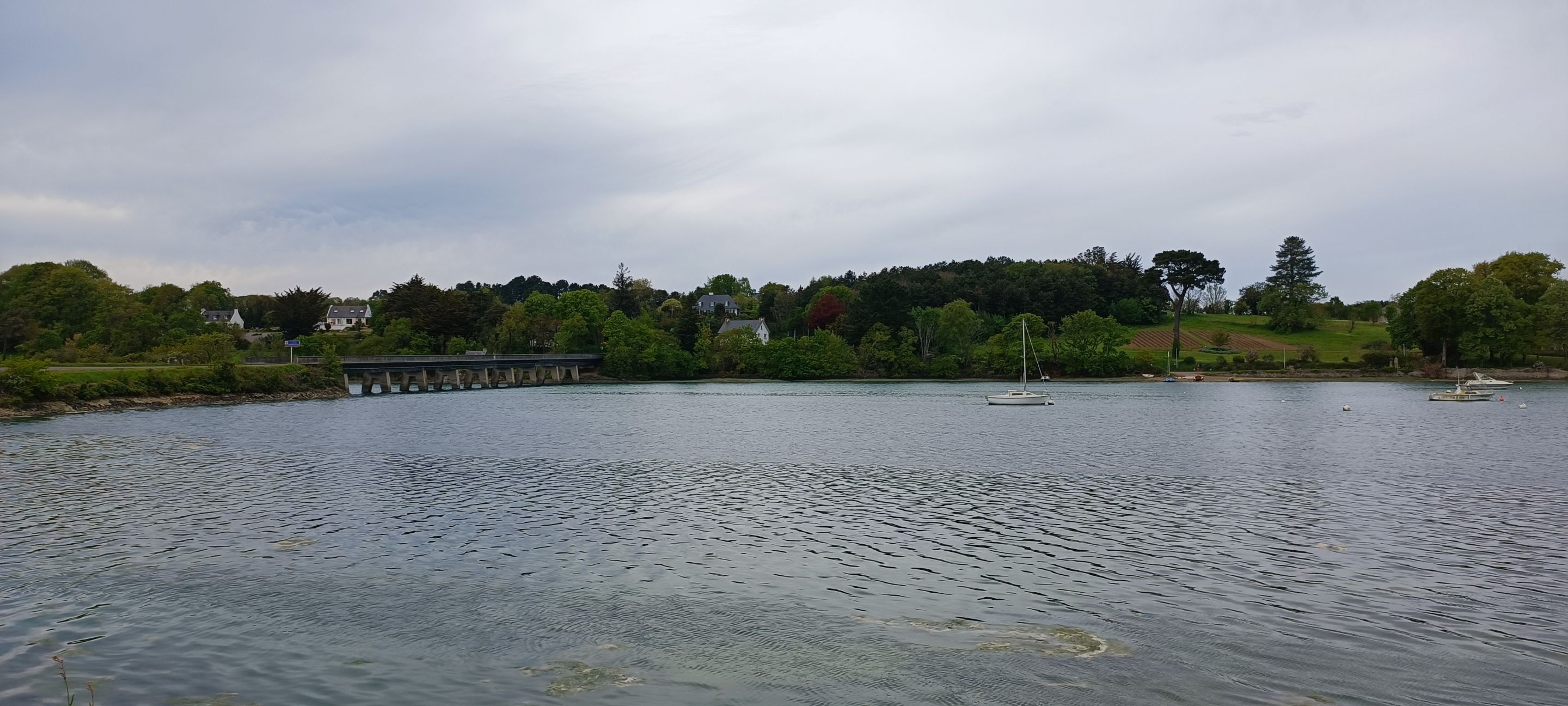 IMG_20230503_173149.jpg