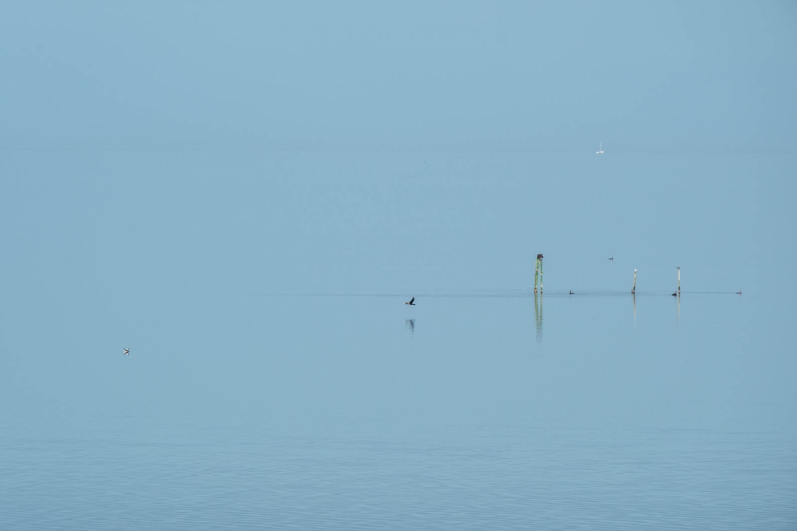 DSCF1801.jpg