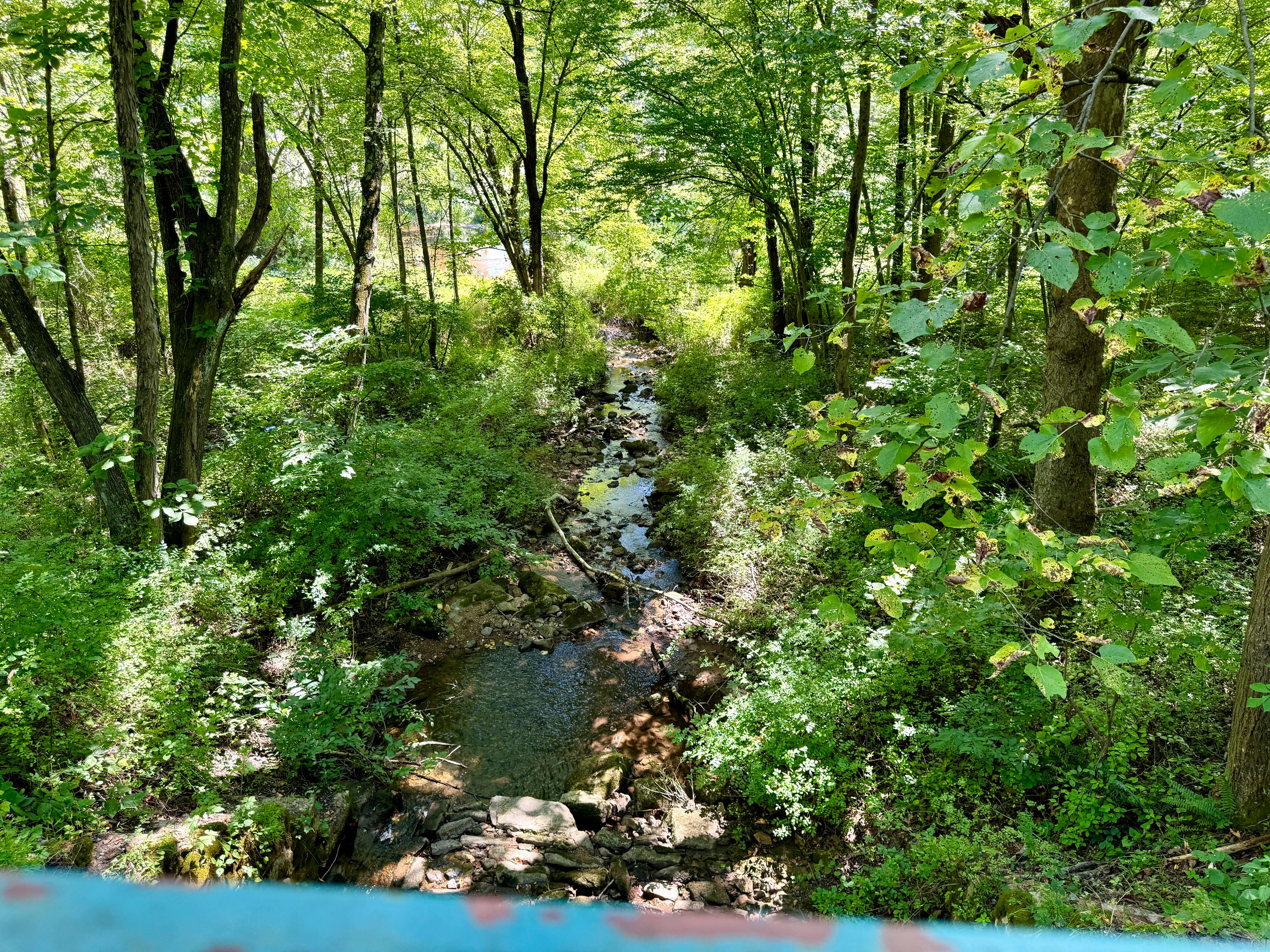 5F8FF16E-4A73-4786-80E3-AD9438DF5CBB_1_201_a.jpeg