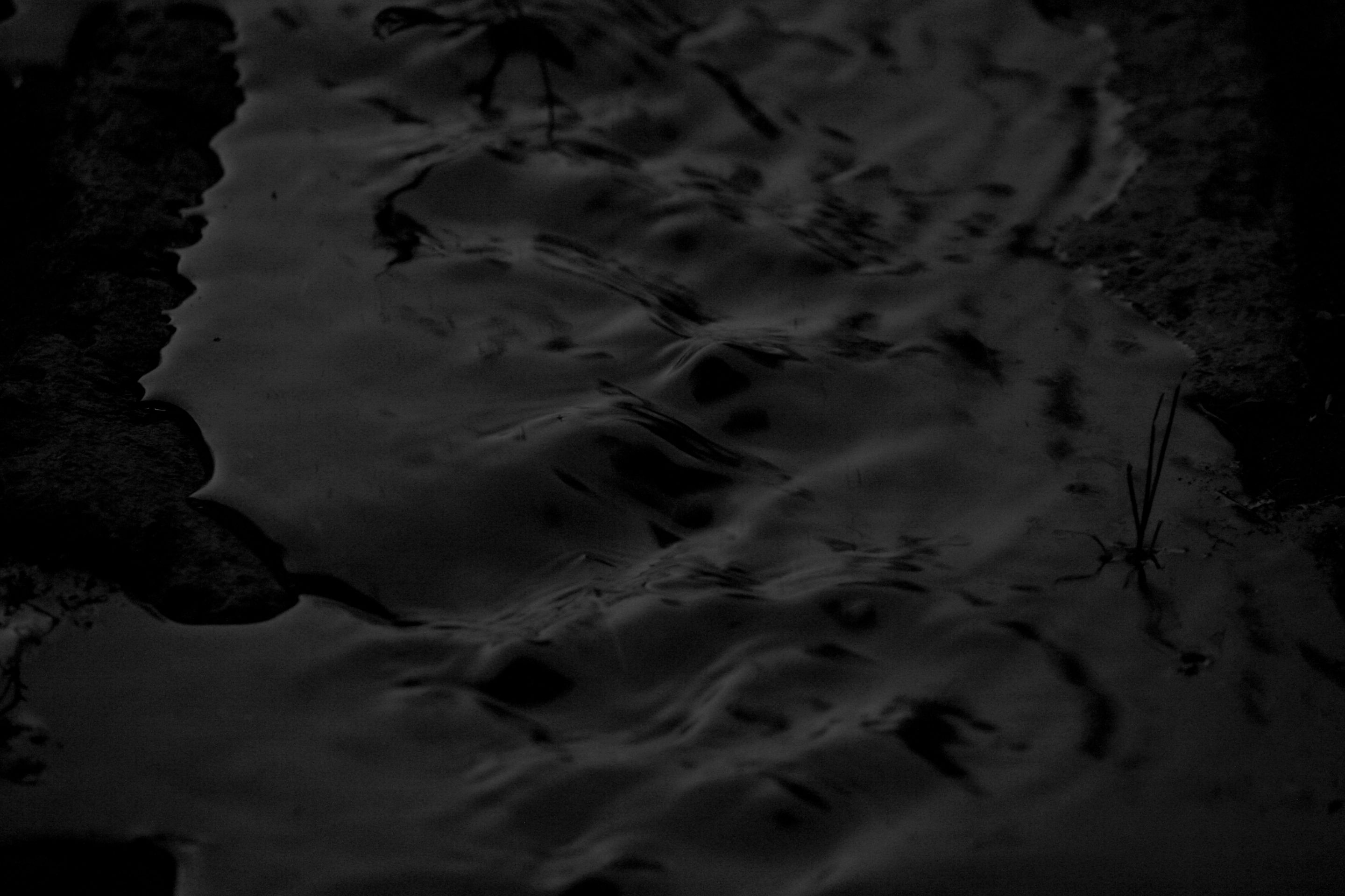 bw abstract IMG_1525.jpg