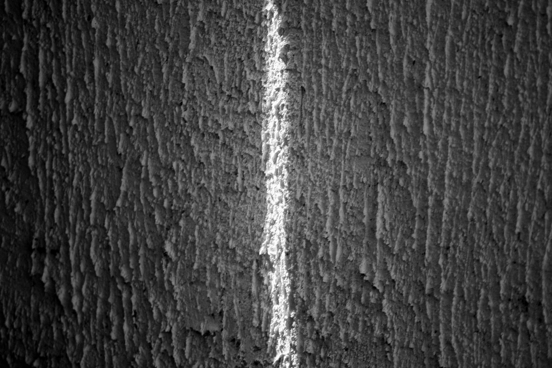 bw abstract IMG_1509.jpg