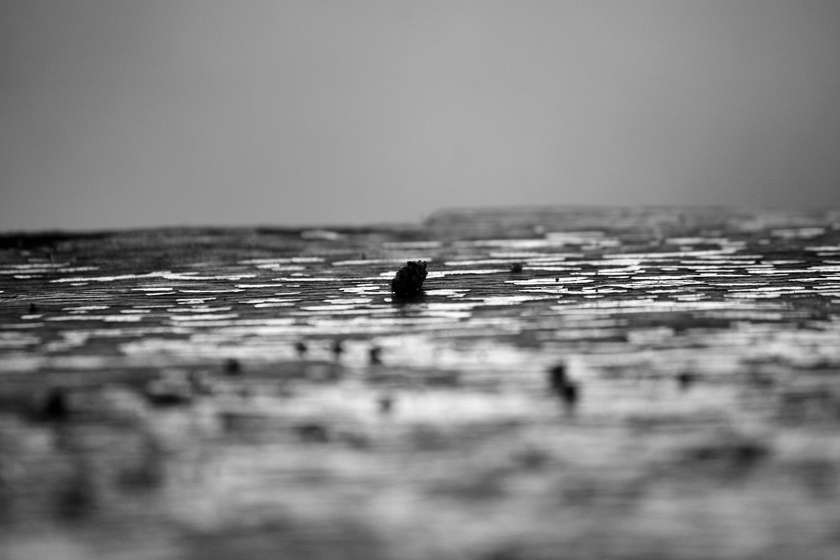 bw abstract IMG_1676.jpg