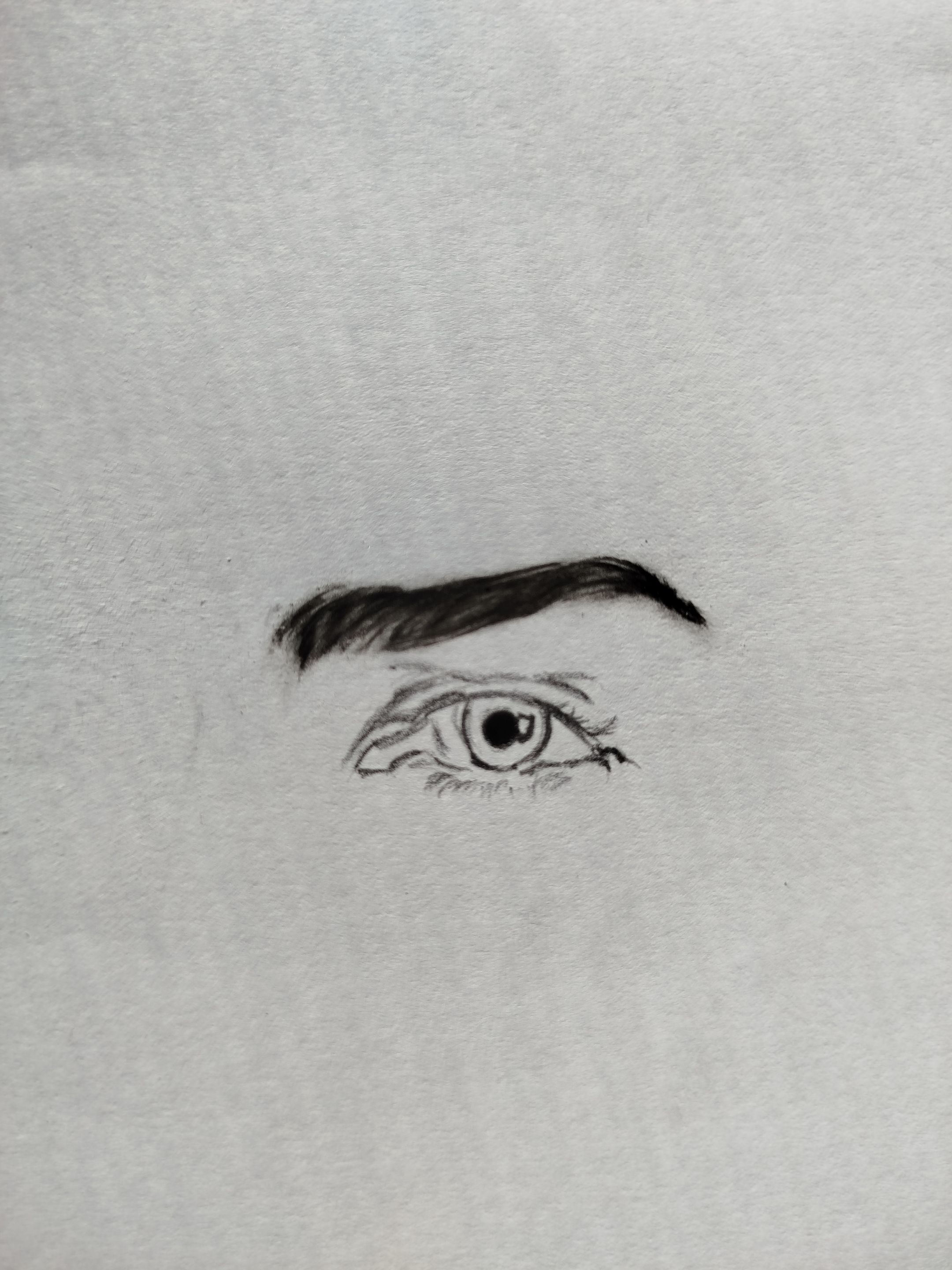 1001051690.jpg