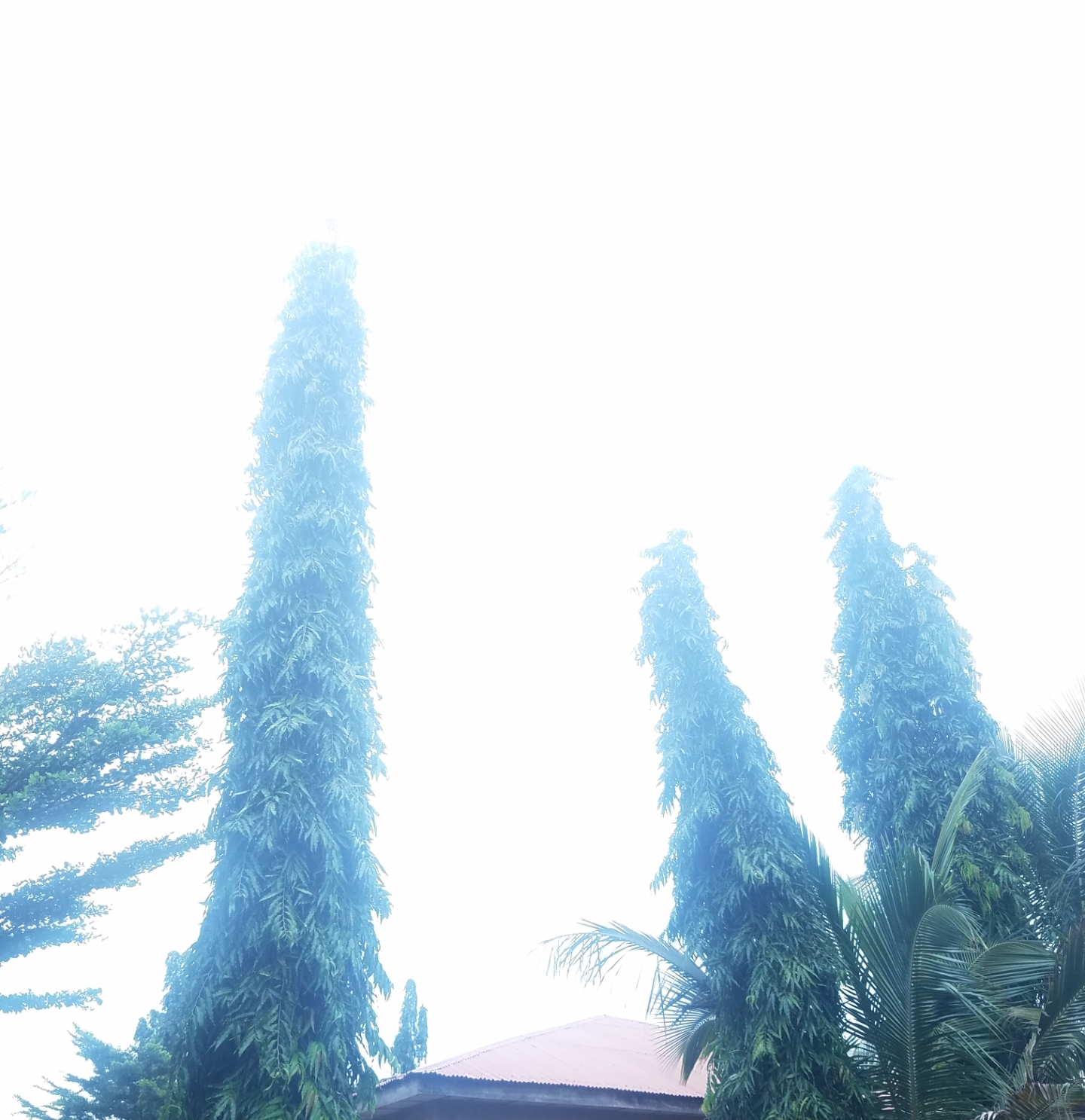 20201007_143911.jpg