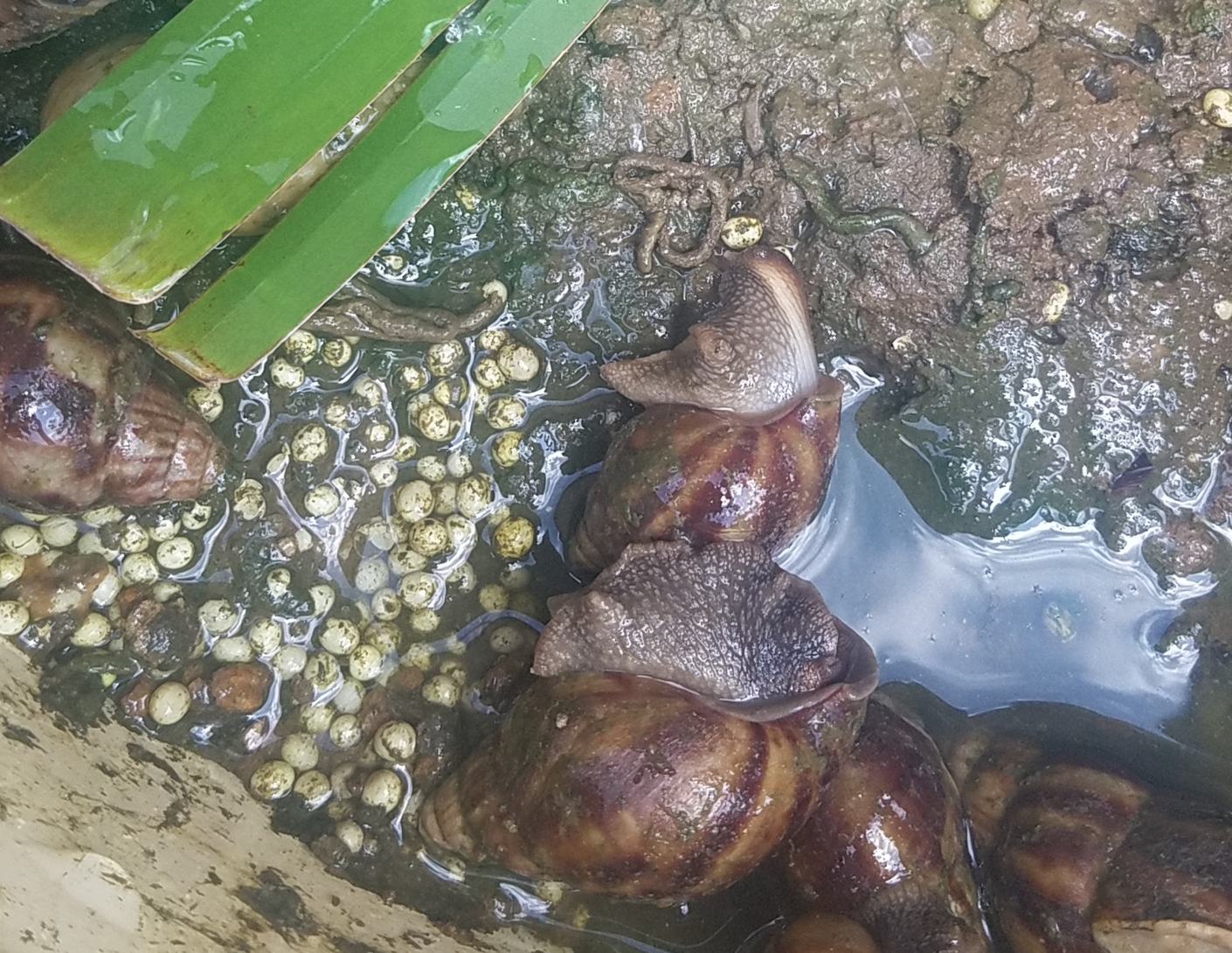 20201004_233707.jpg