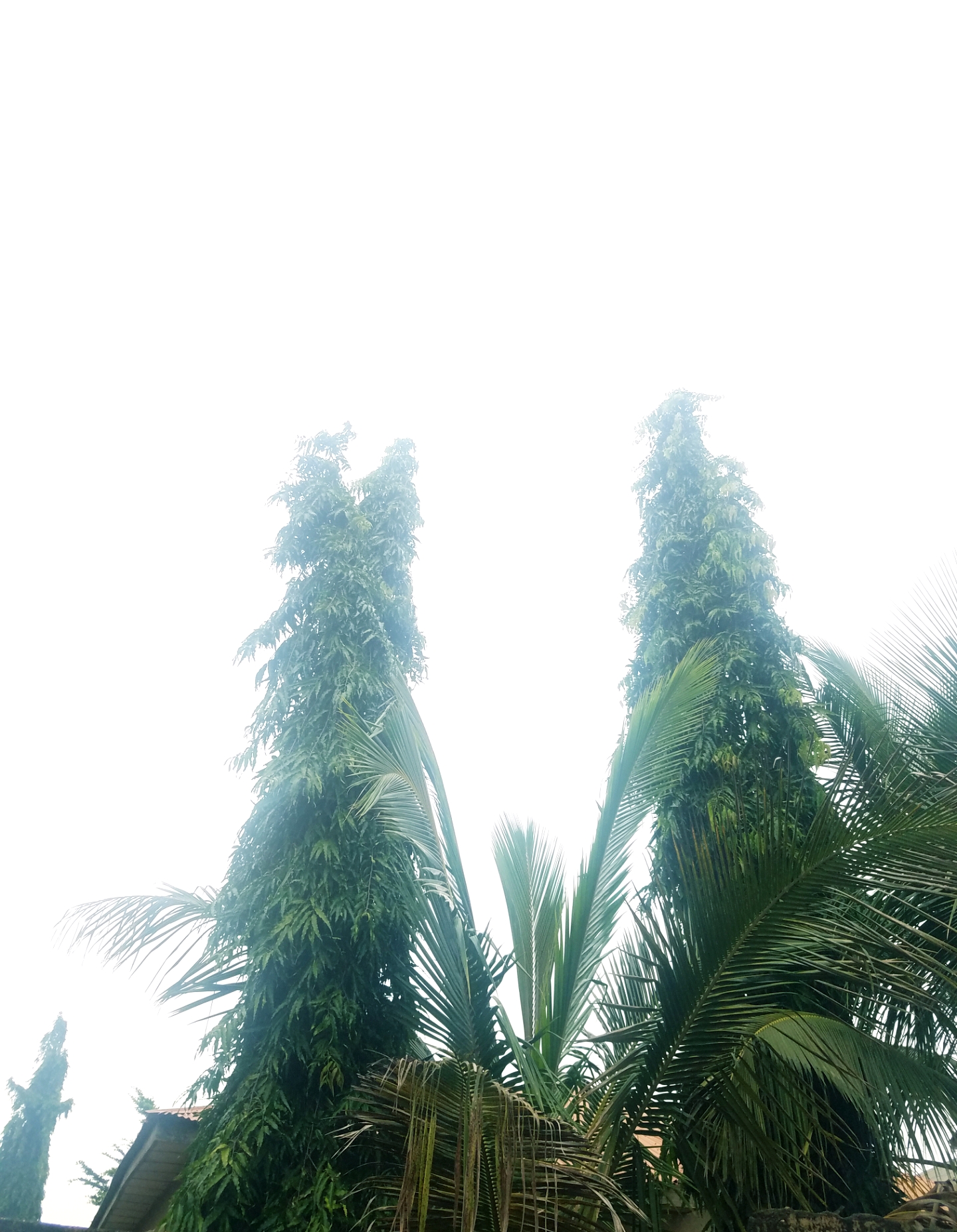 20201007_144039.jpg