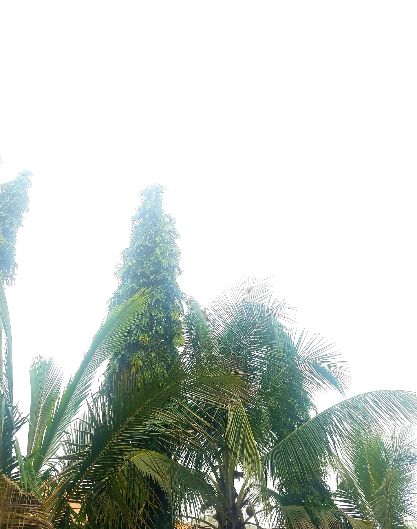 20201007_144113.jpg