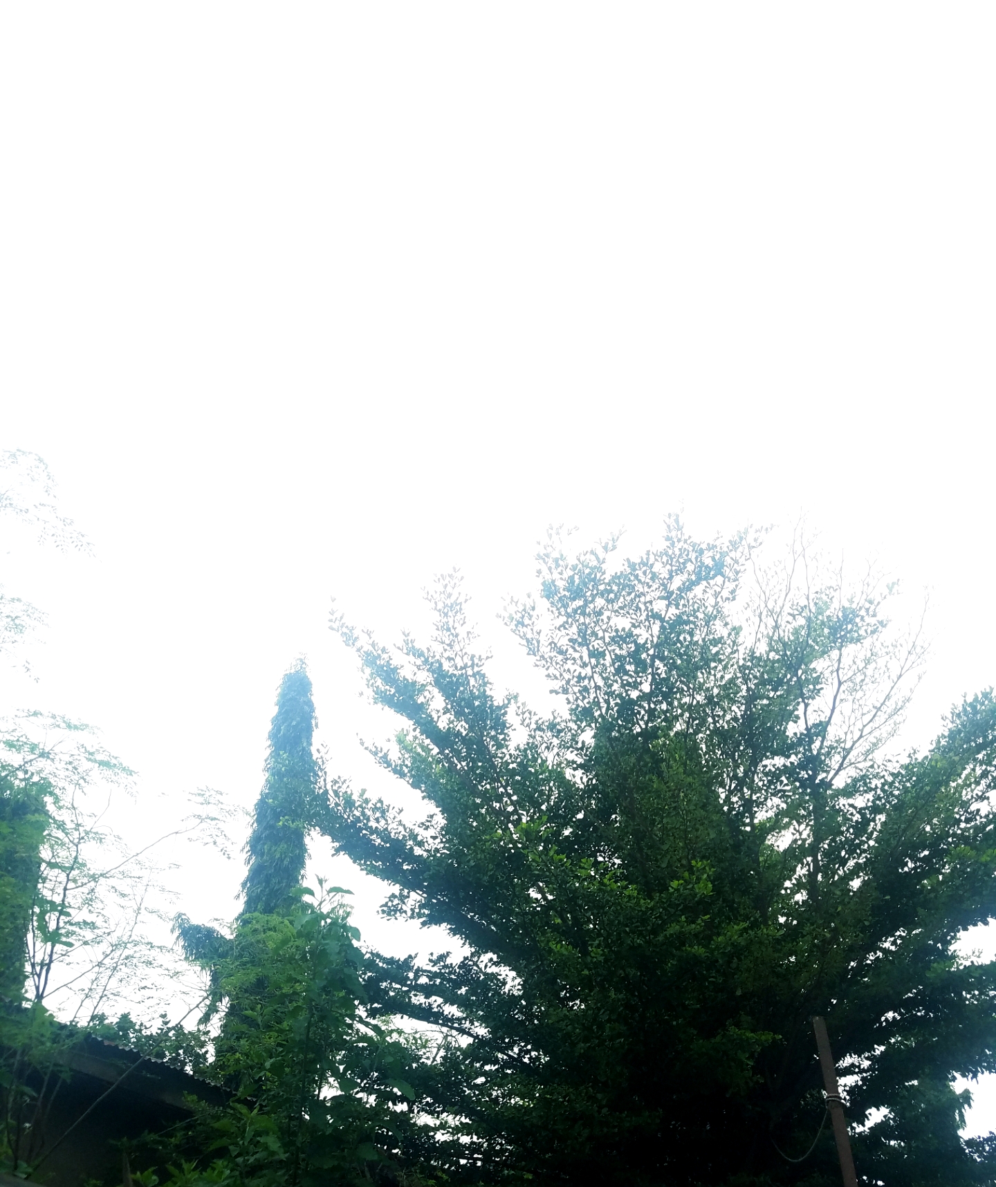 20201007_144015.jpg