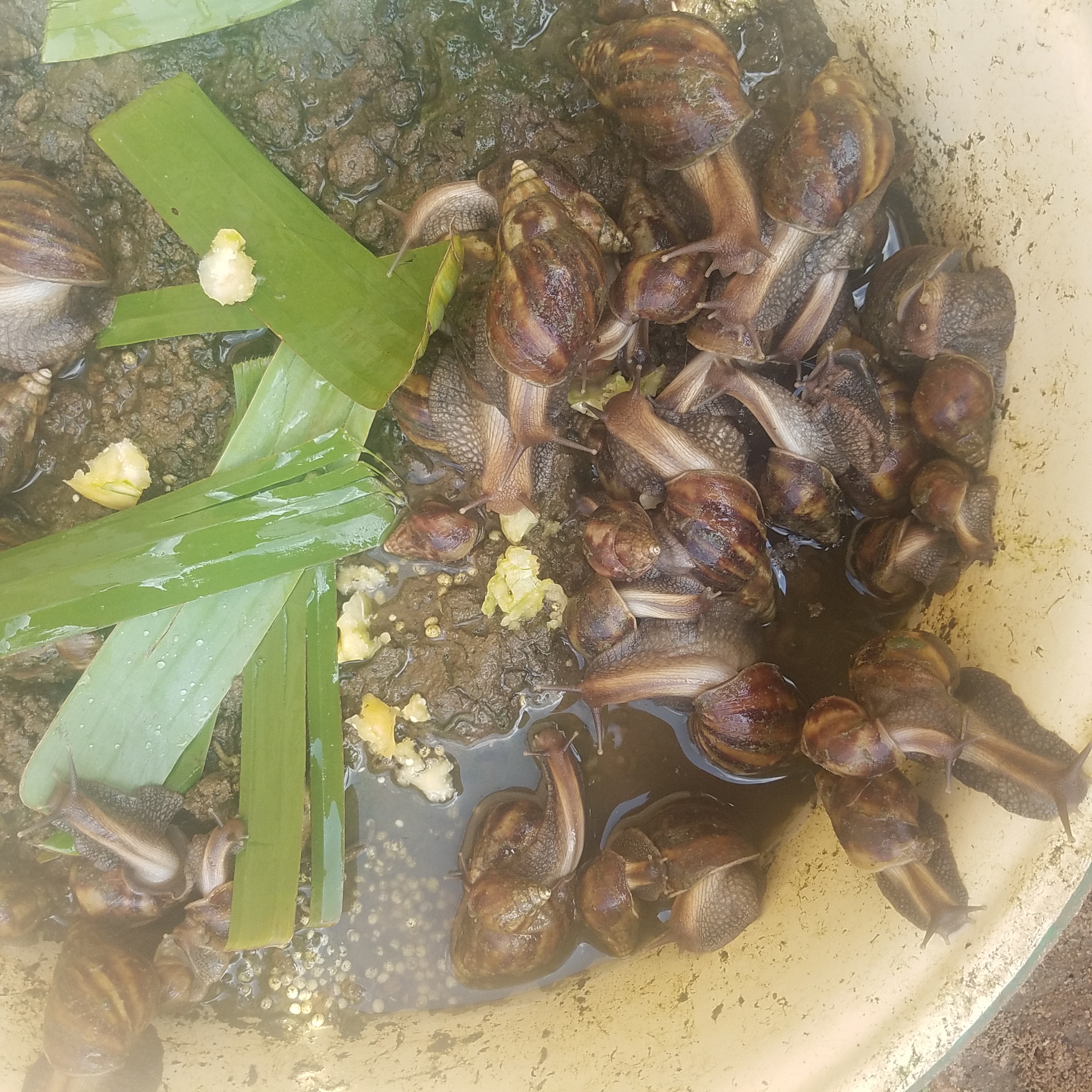 20201004_141043.jpg