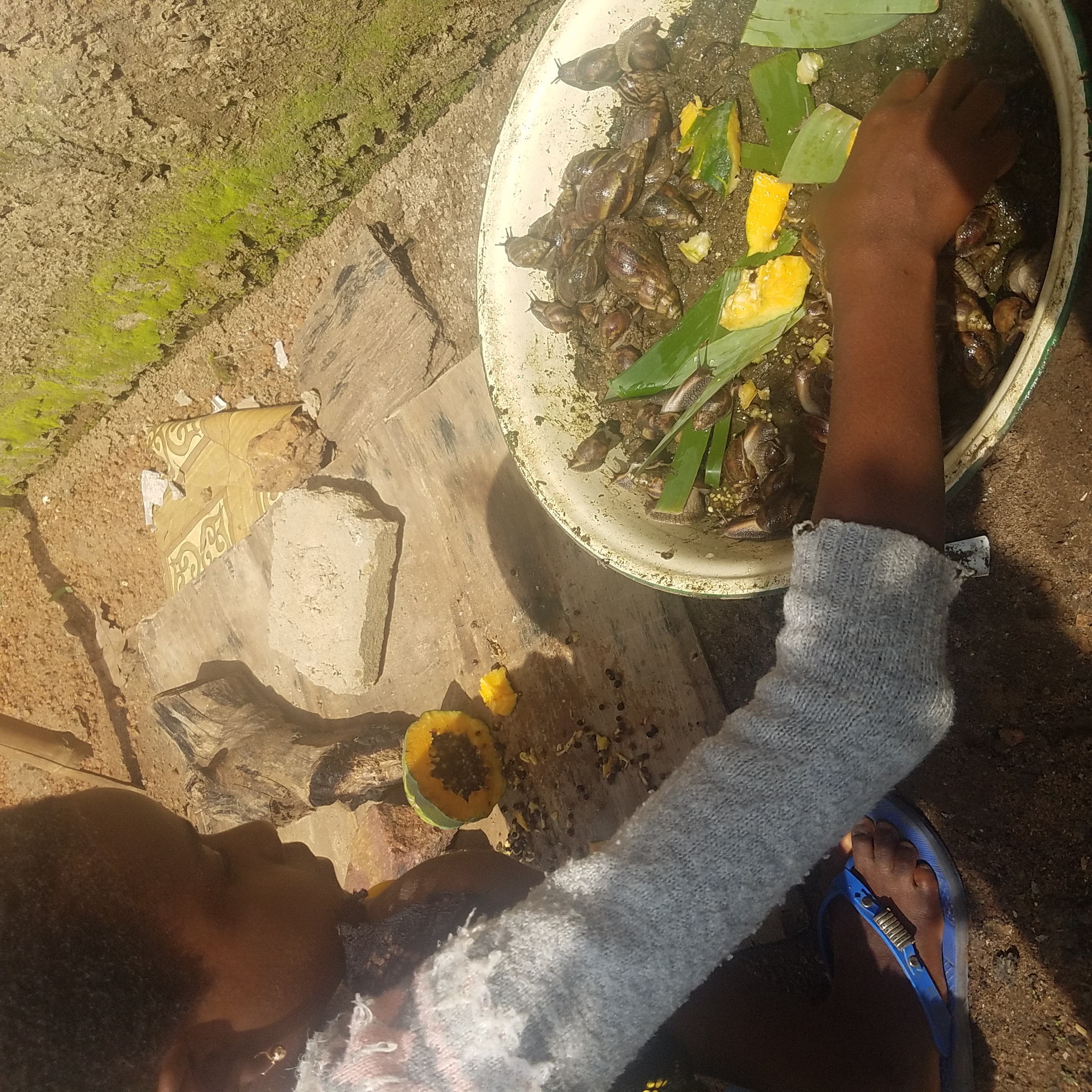 20201004_141317.jpg