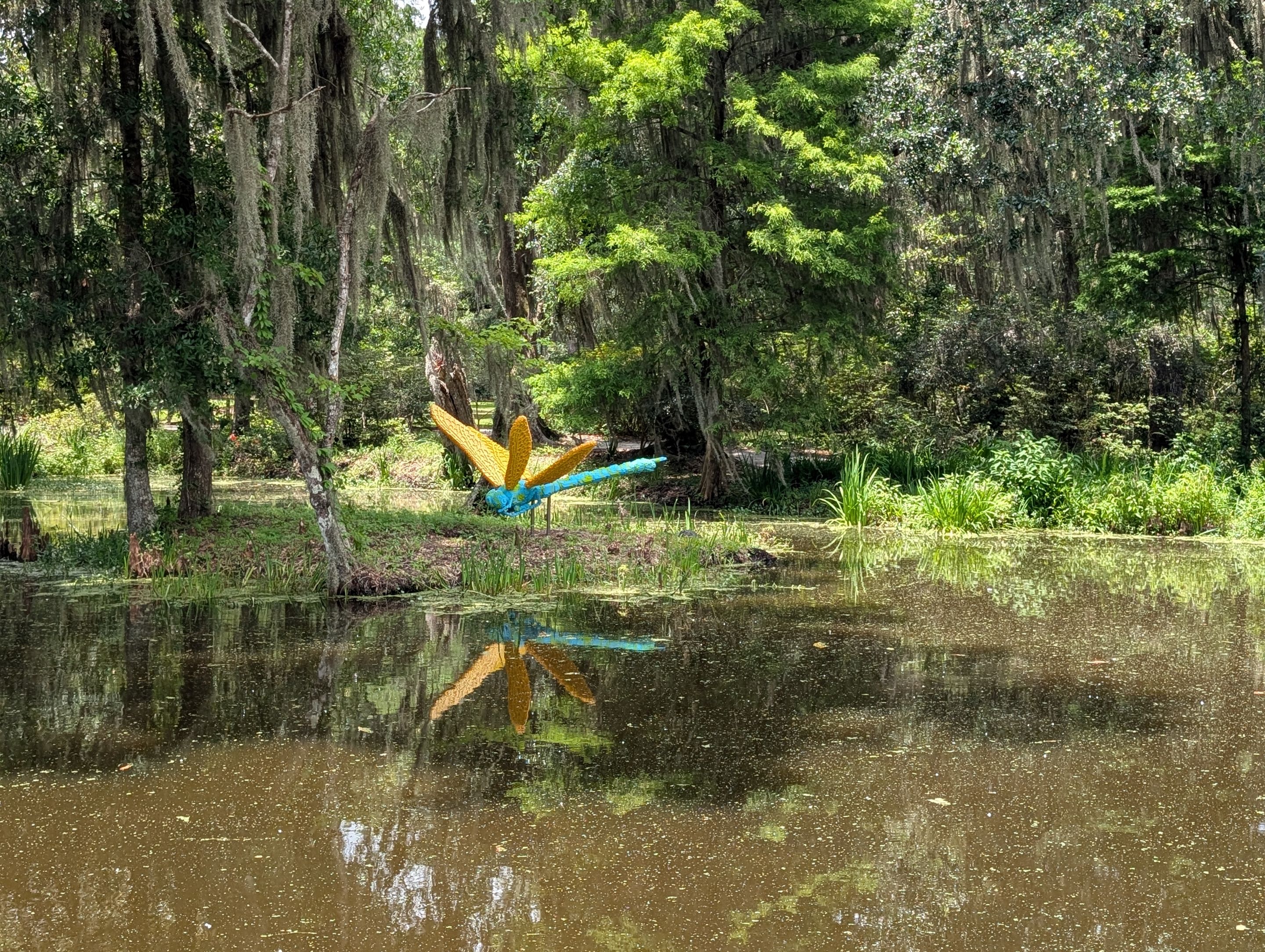 PXL_20250606_173622157.MP.jpg