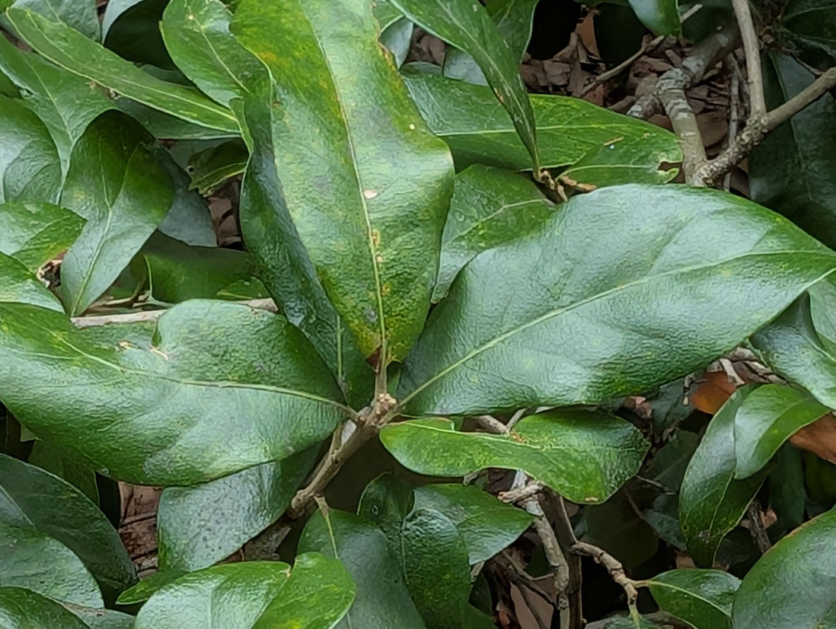 PXL_20250608_172557778.jpg