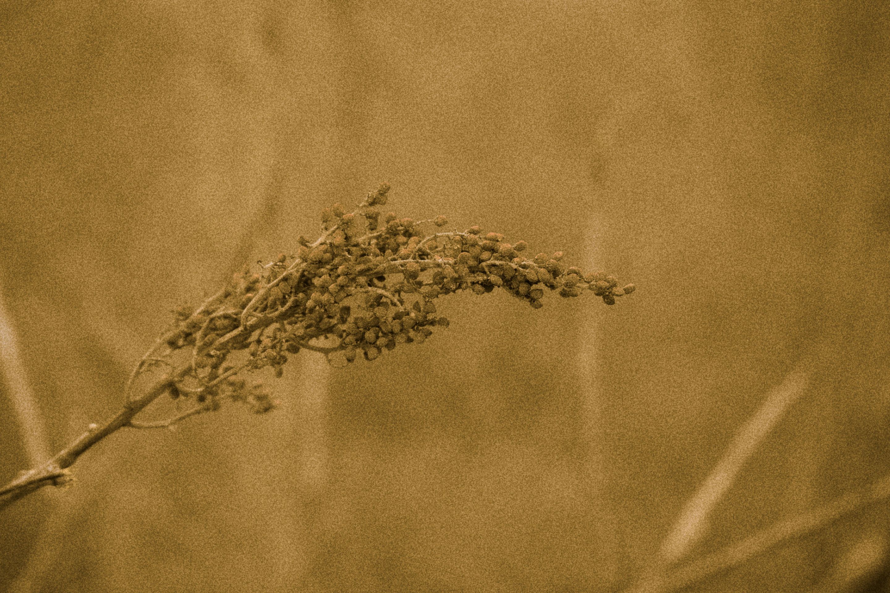 DSC01359_01.jpg