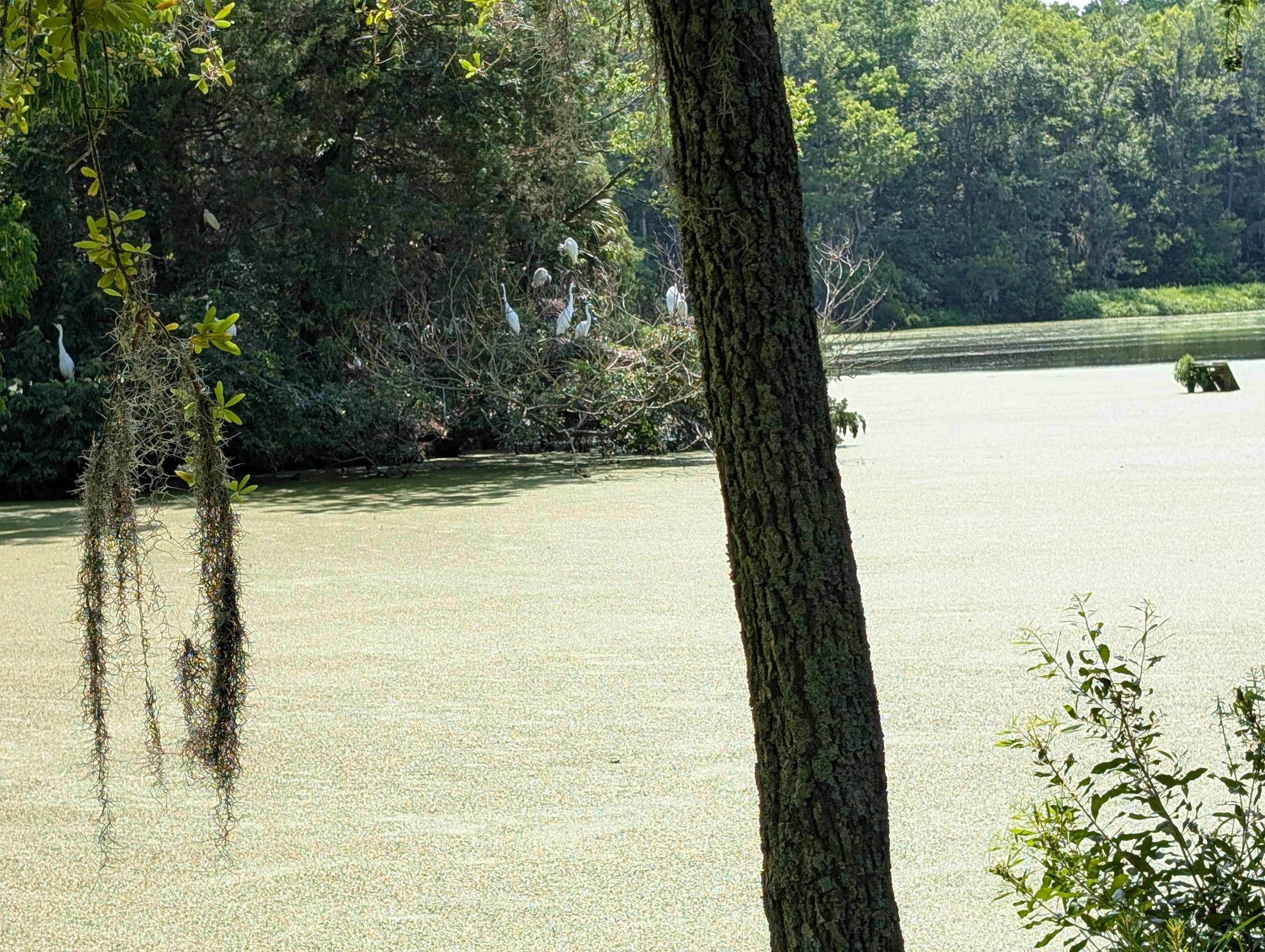 PXL_20250606_191101224.jpg