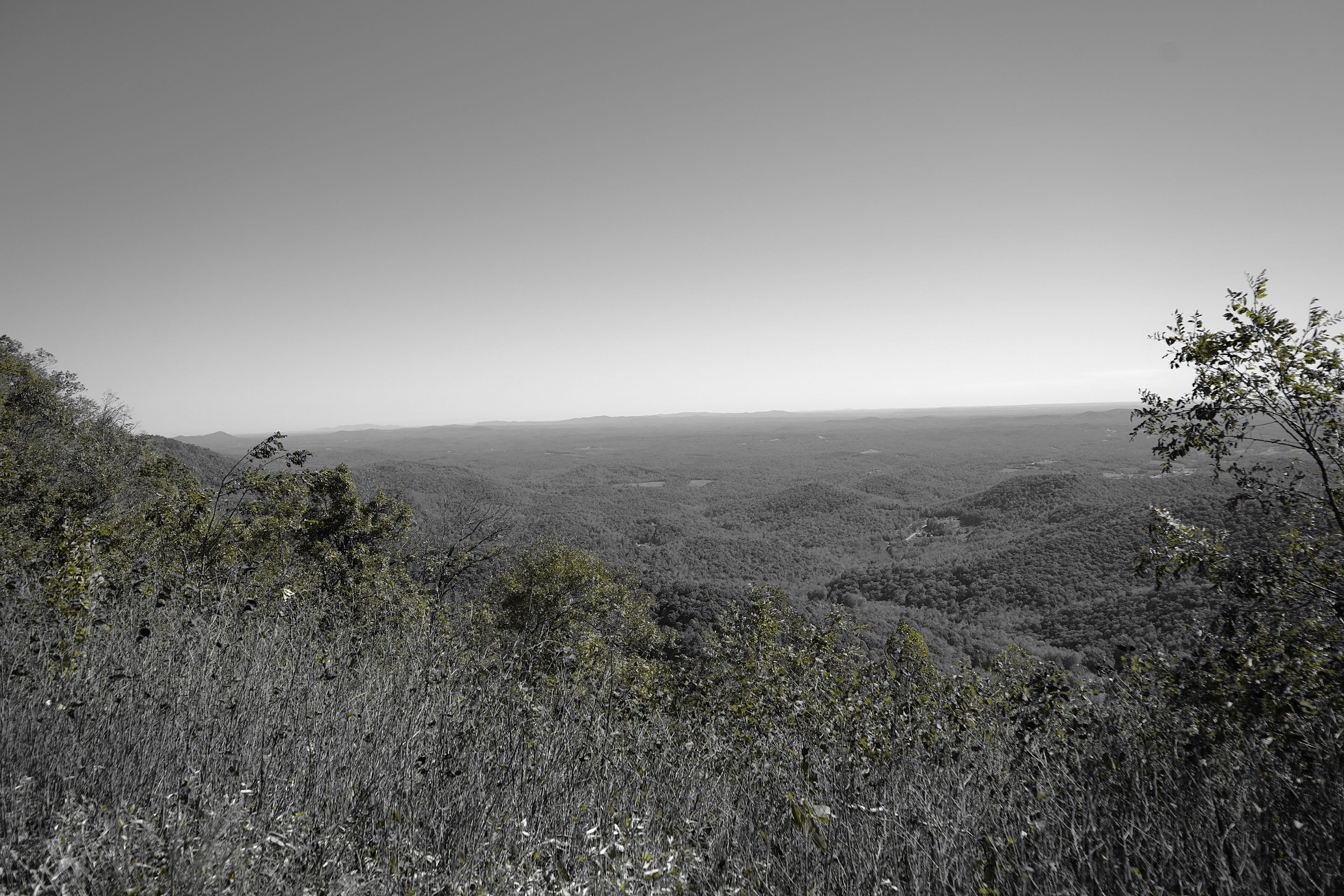 BWA7_00902.JPG