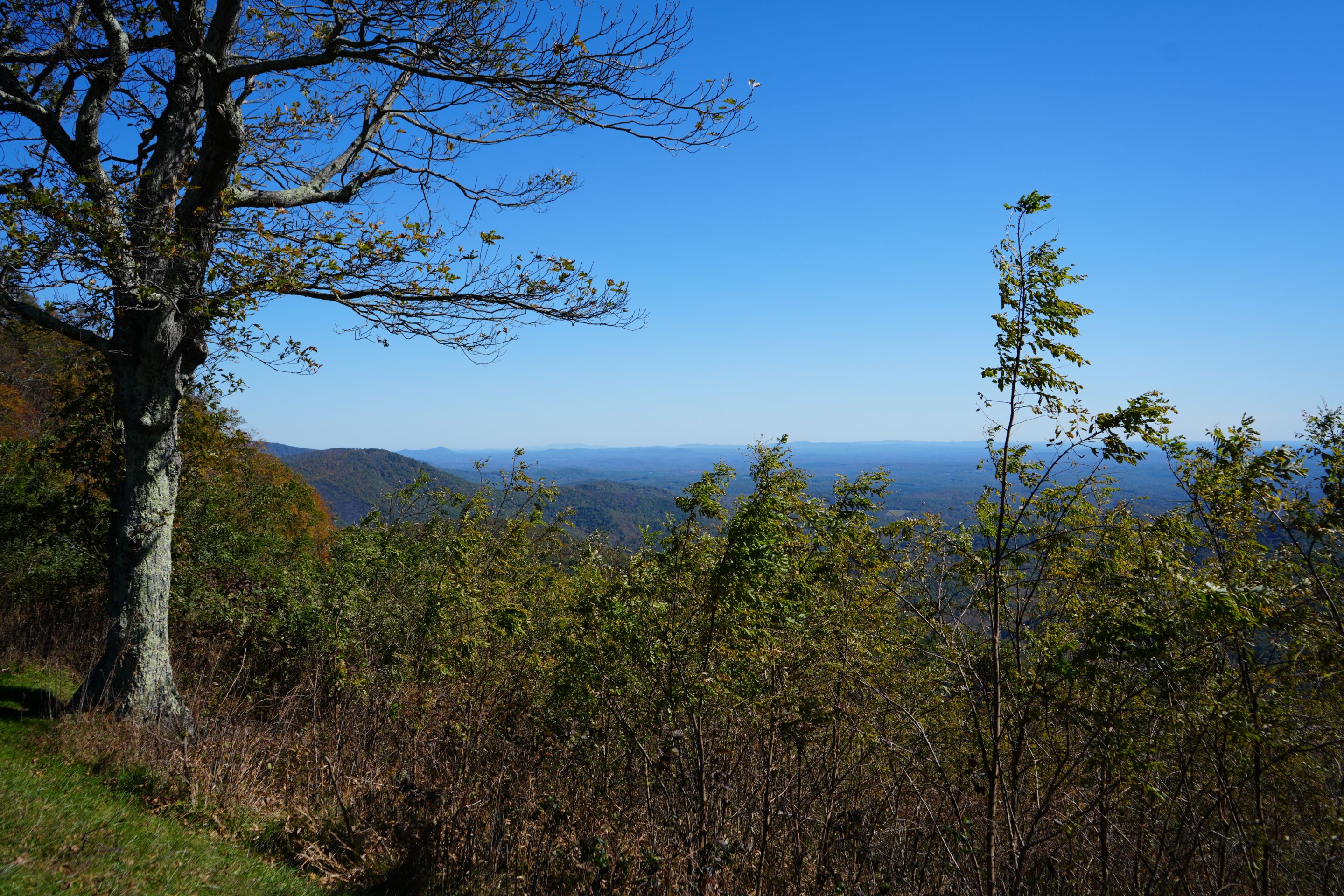 A7_00901.JPG