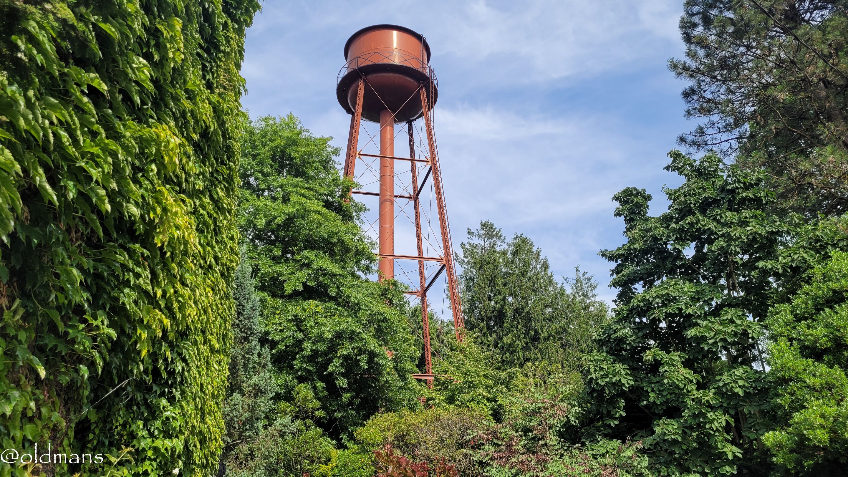 edgf-7.JPG