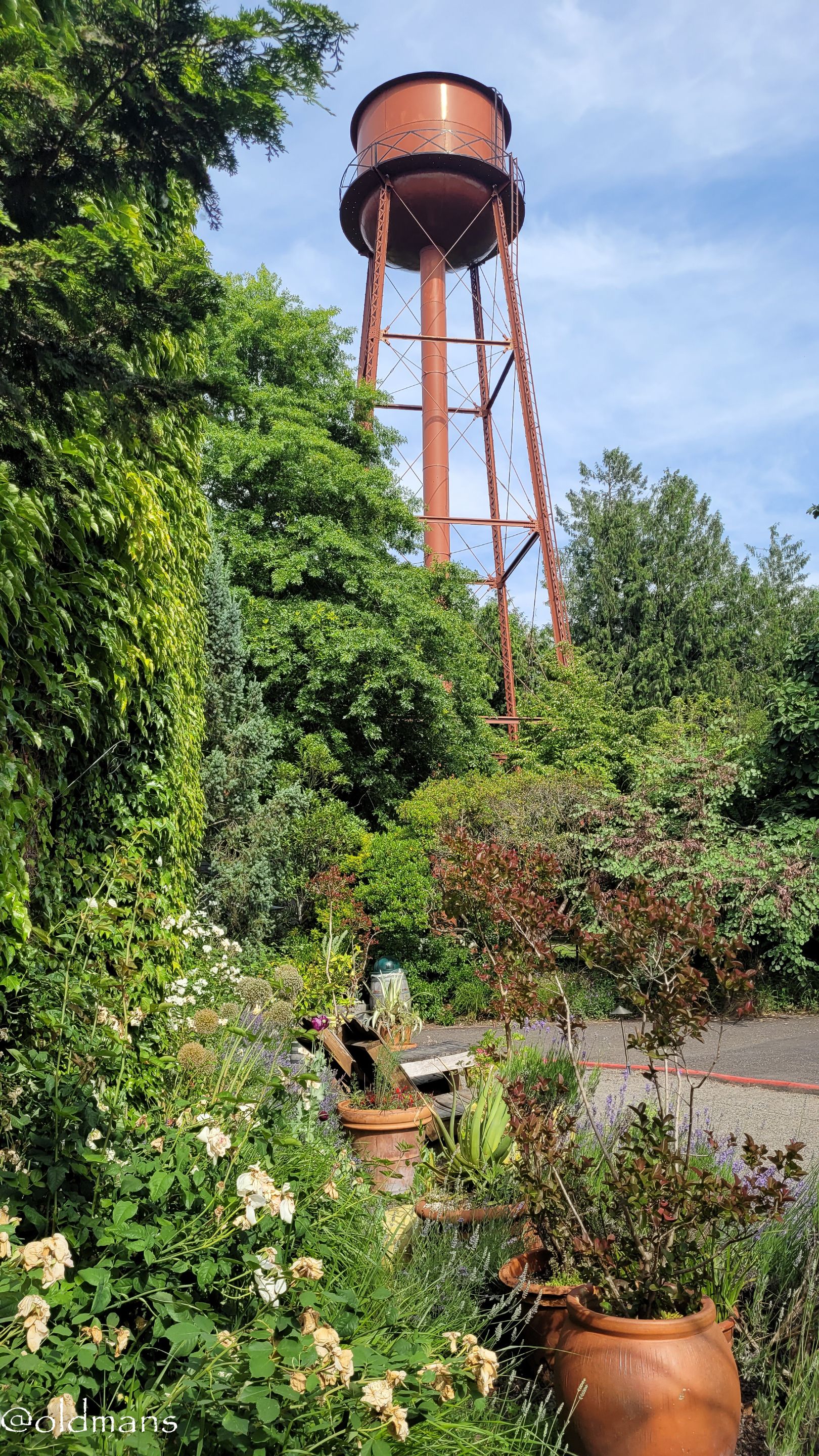edgf-8.JPG