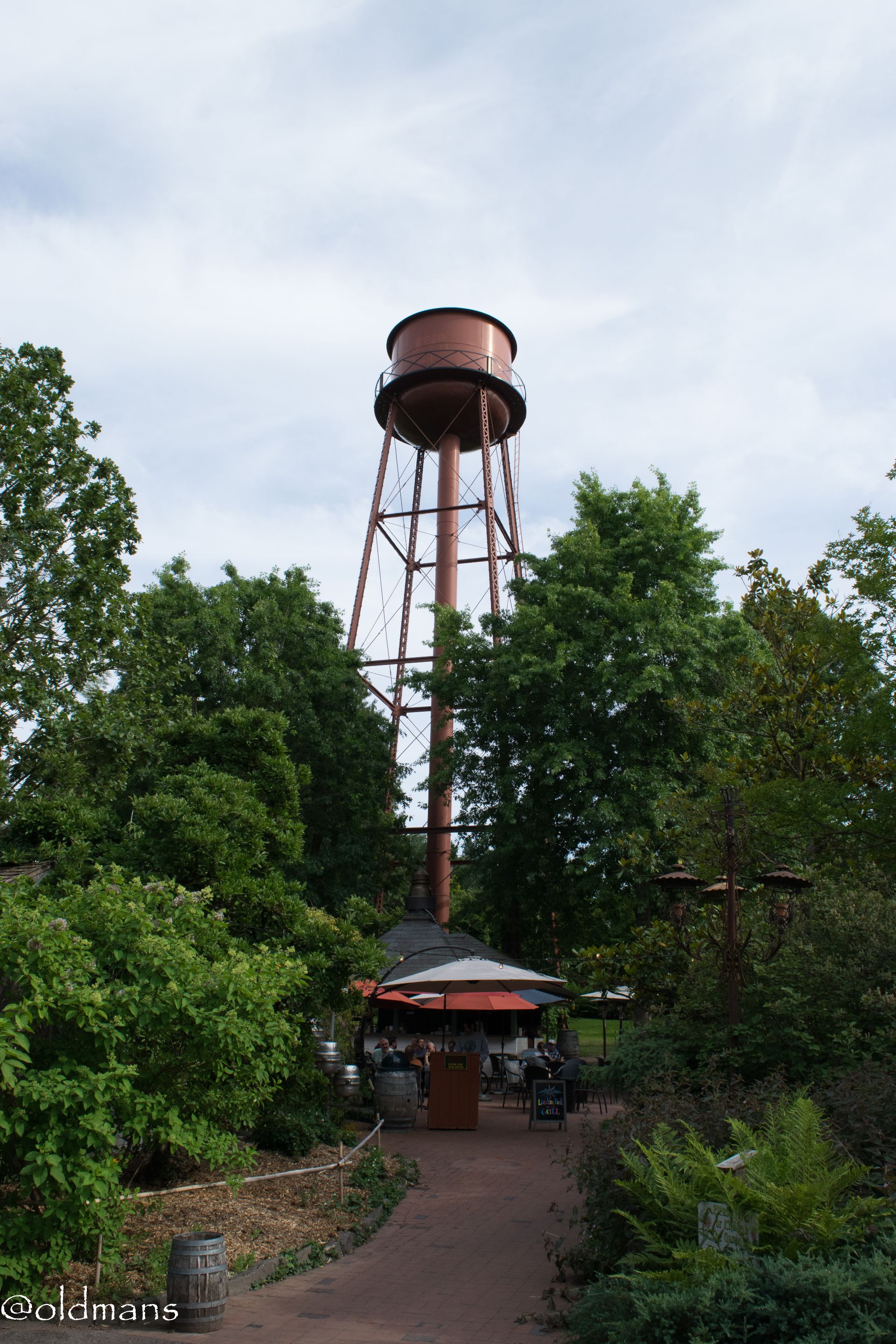 edgf-30.JPG