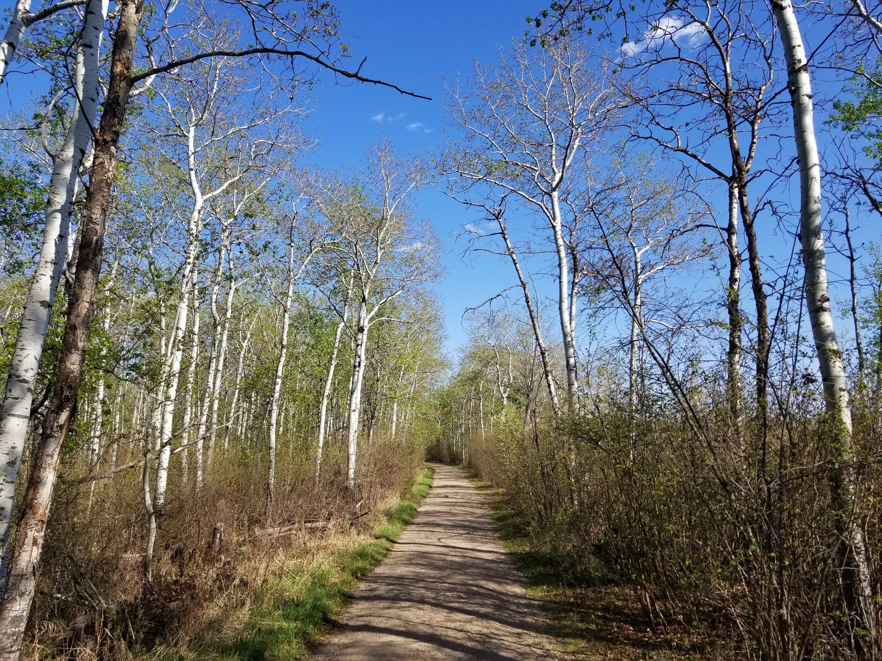 20180513_173544.jpg