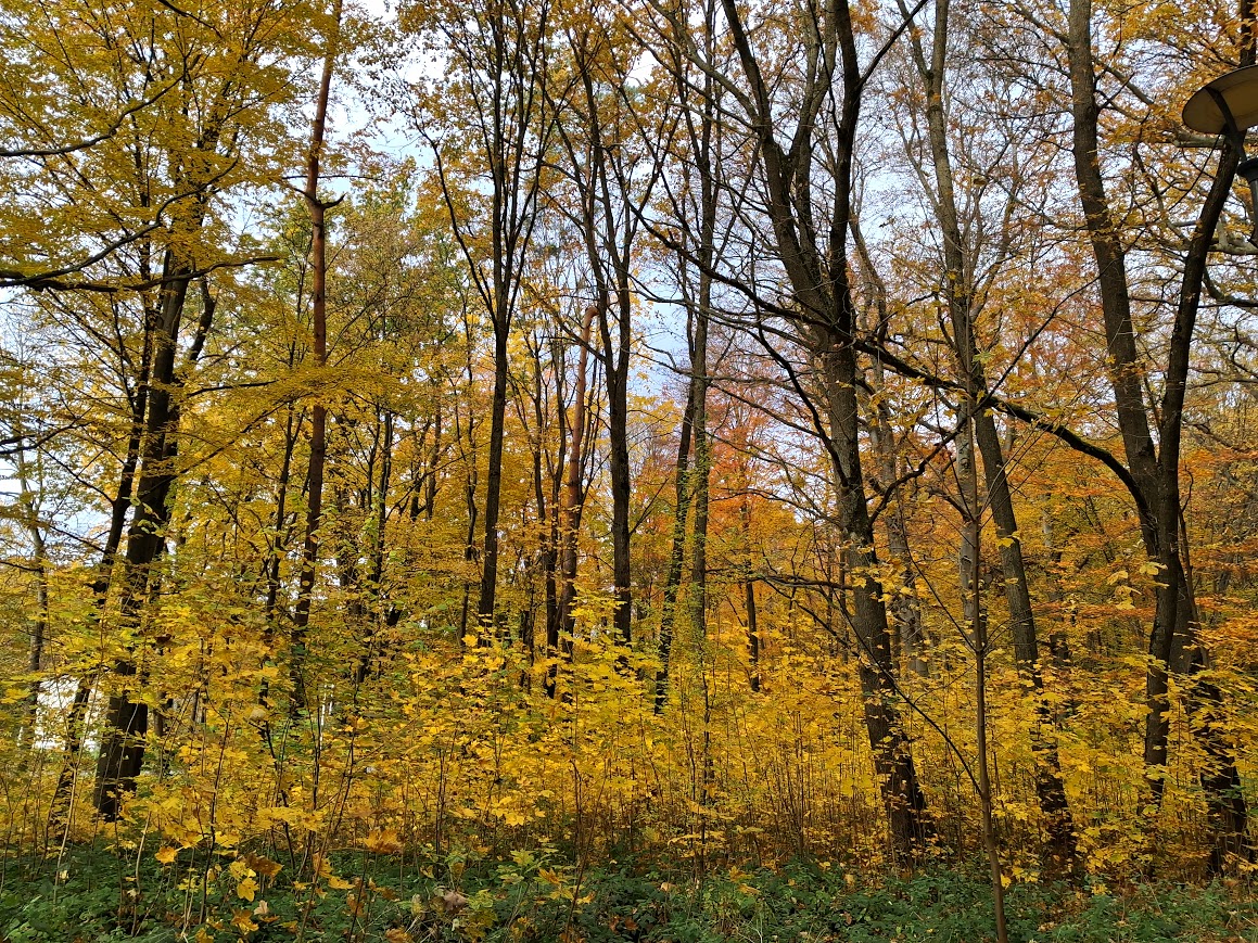 20251026_101539 (1).jpg