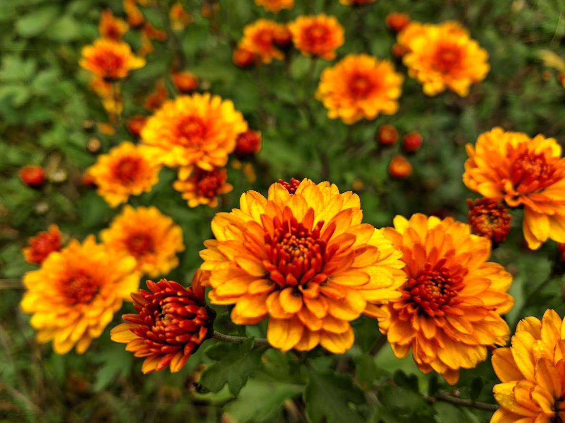 20251007_132106 (1).jpg