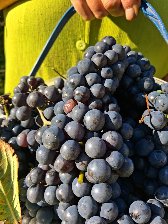 20251009_113939 (1).jpg