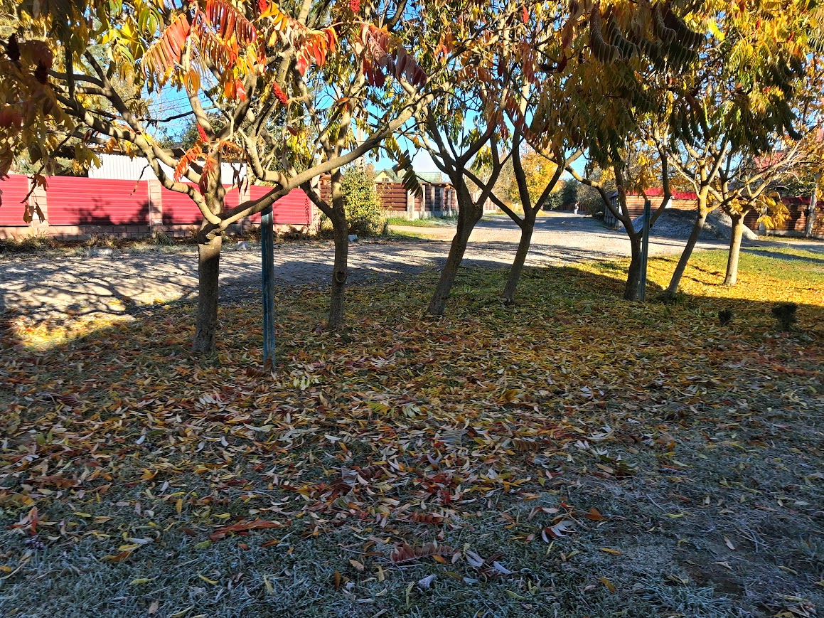 20251020_102027 (1).jpg