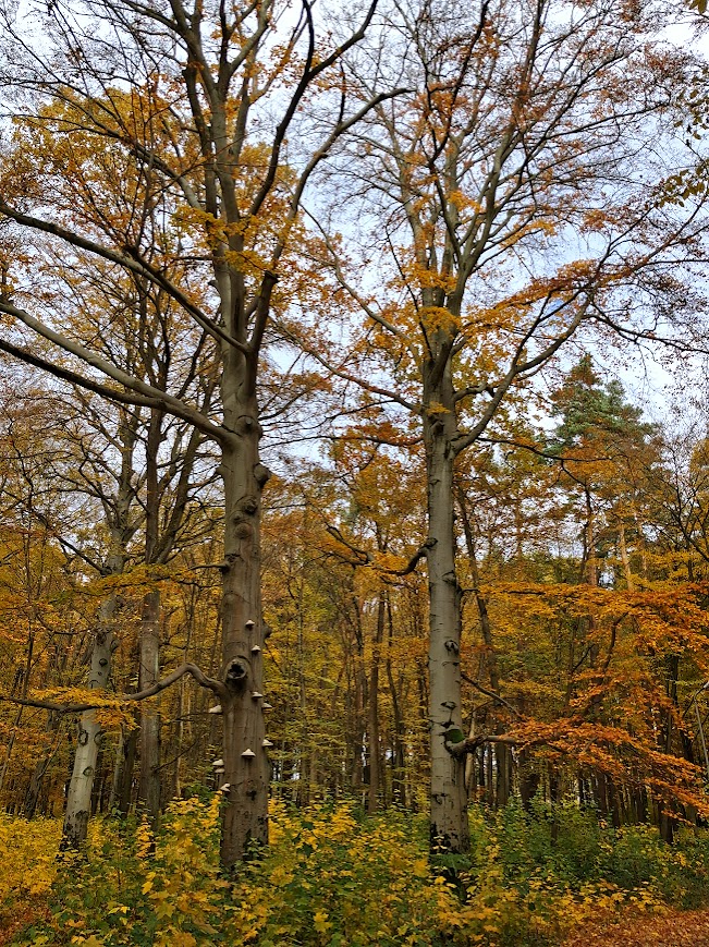 20251026_101550 (1).jpg