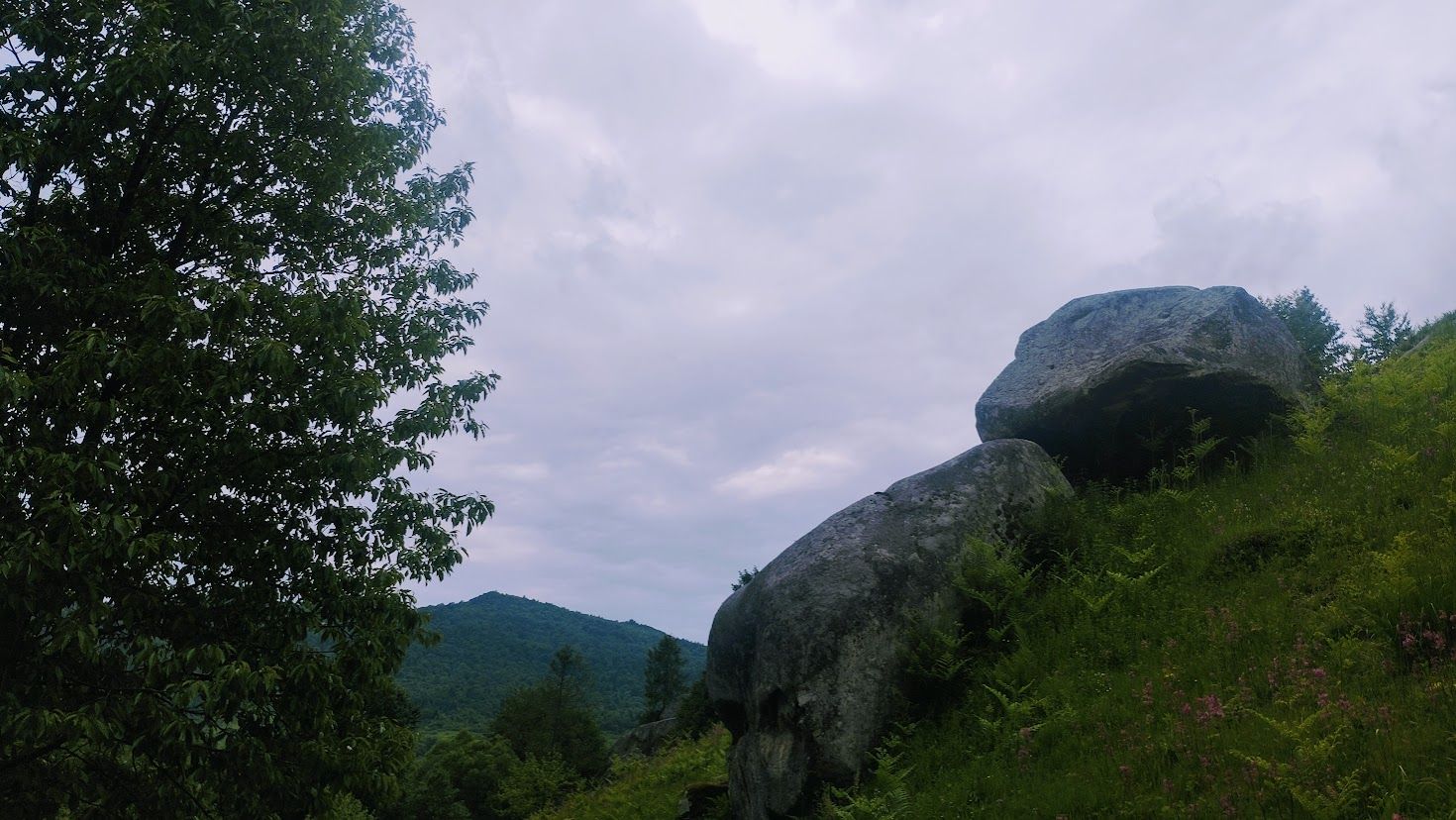 IMG_20250611_151413.jpg