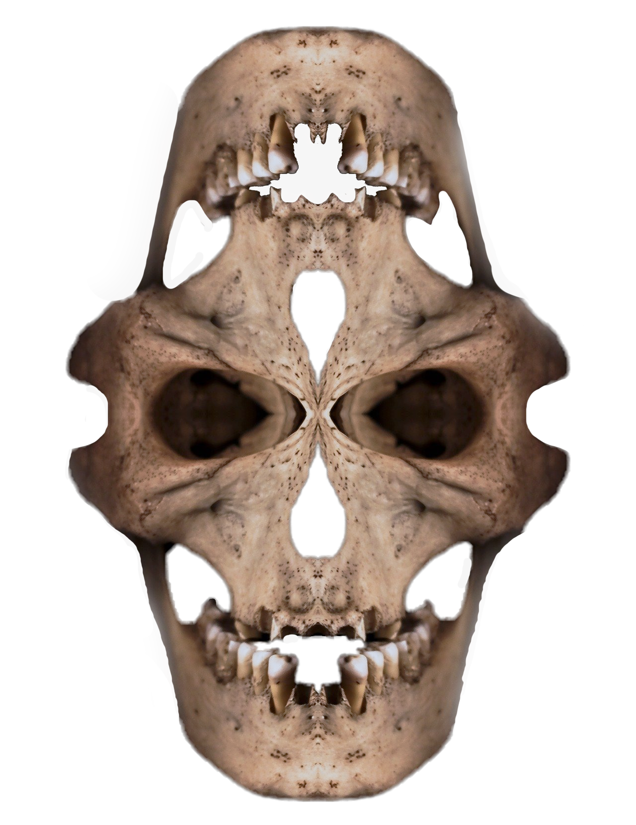 23sxC2BhYrSYwV8nxX1ZfACsWwTry6qD4xY3UDvMxrZcSq5Hvzvbw5xDCcxDv2VFSct4L.png