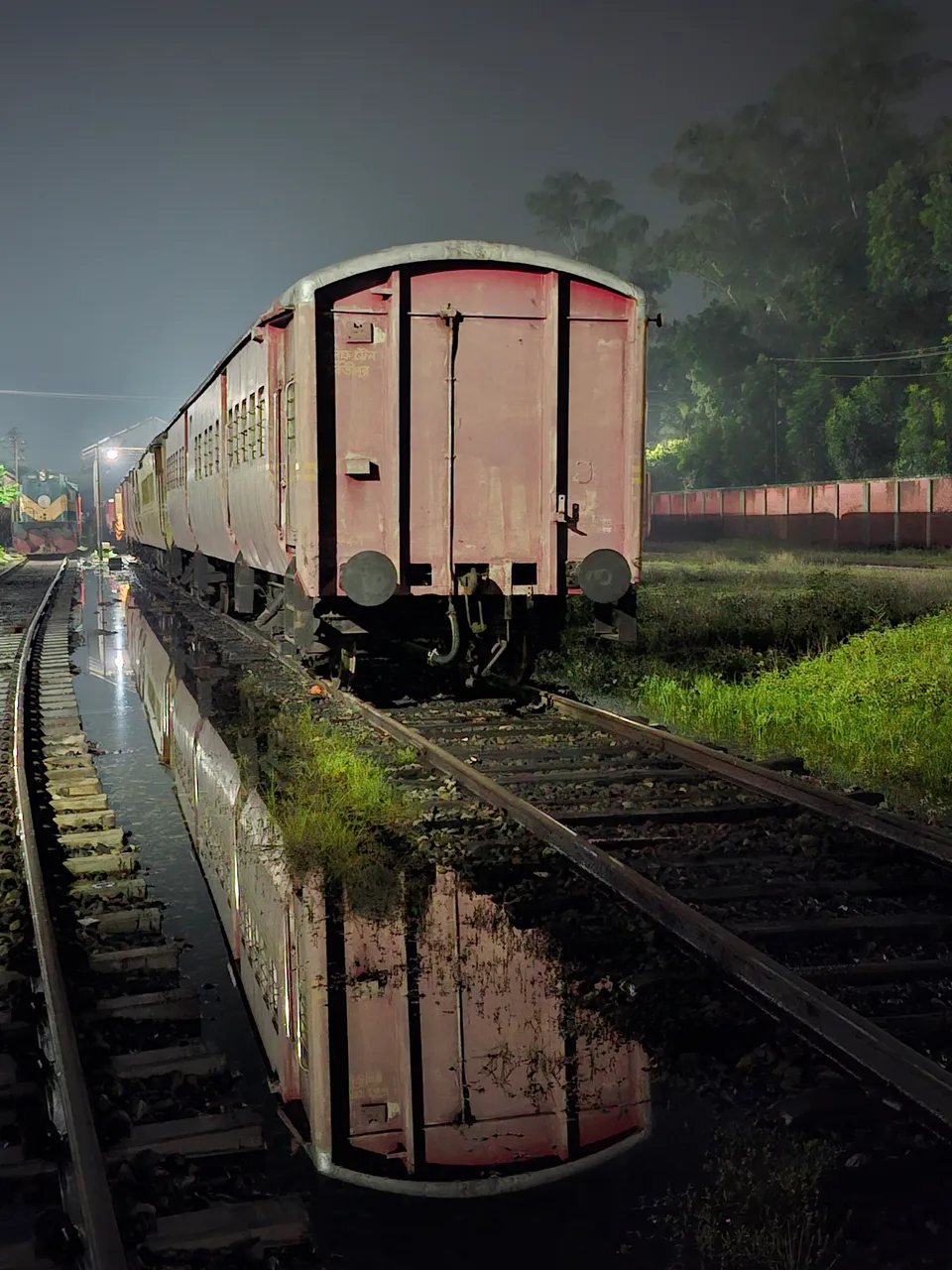 shamimhossain.webp