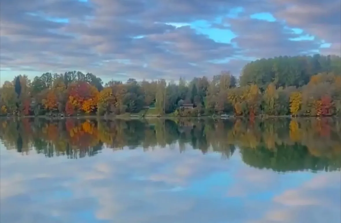 niznov.webp