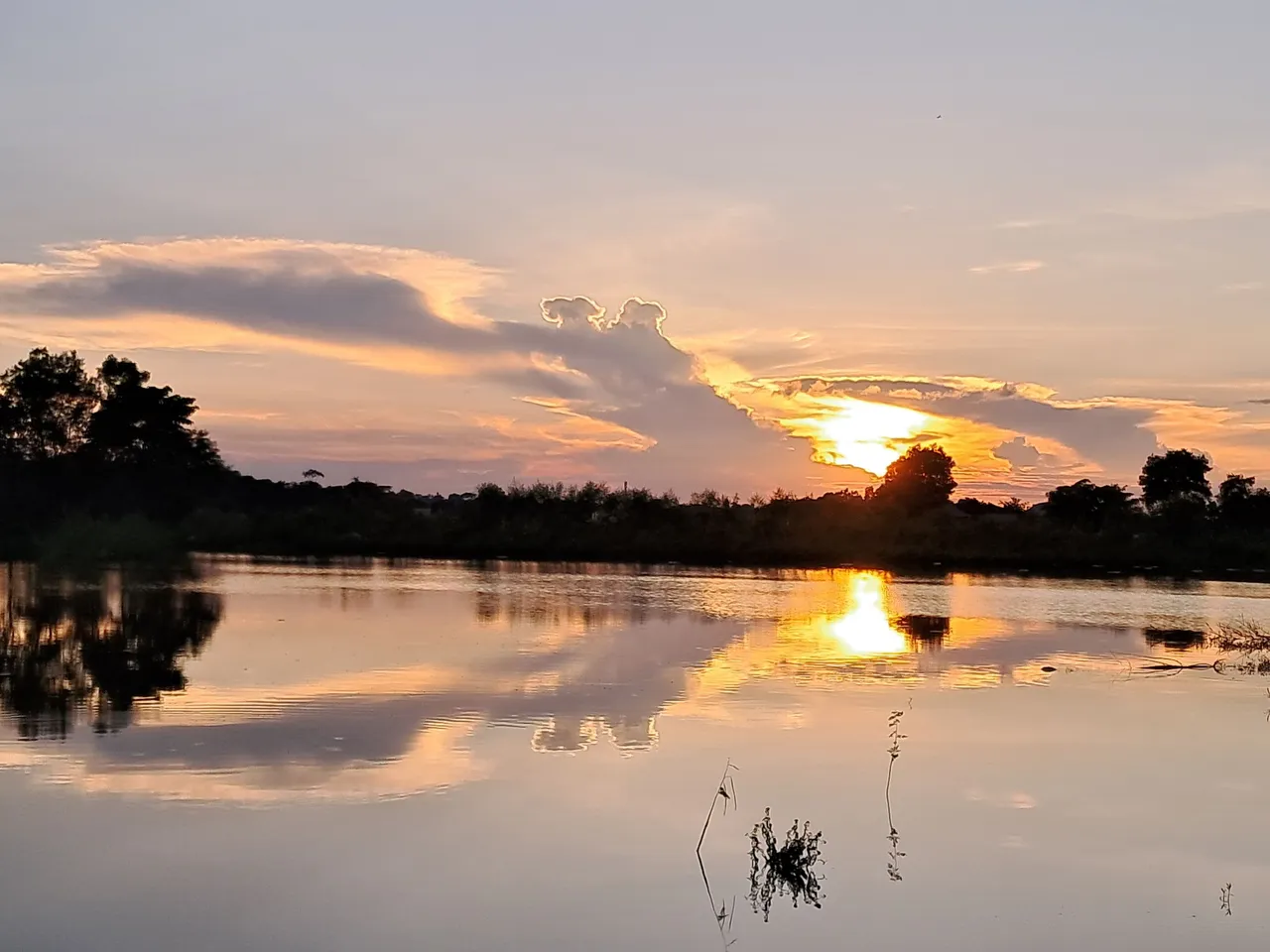 kawsar8035.webp