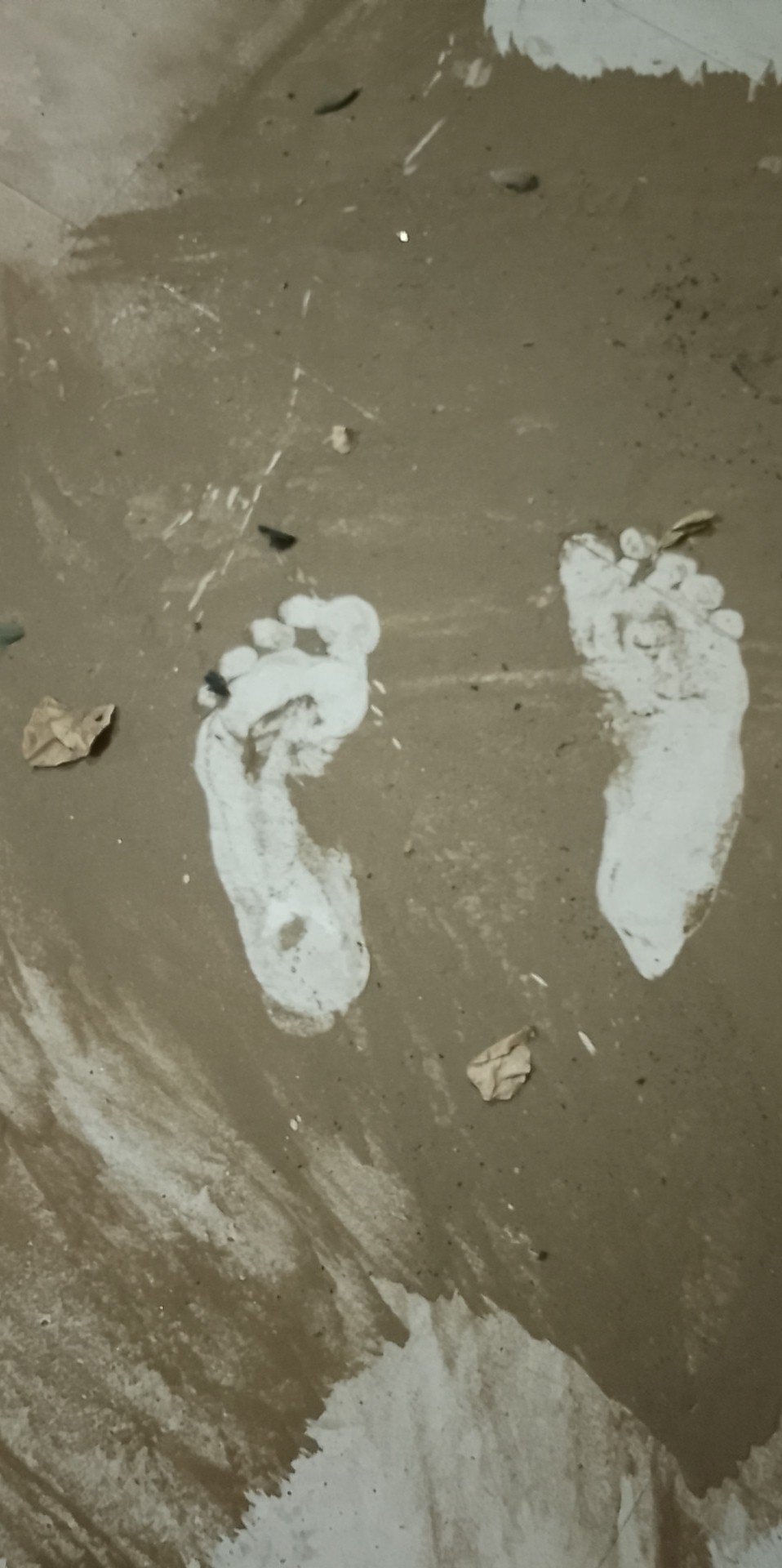 bc667094-2855-4984-af1a-d6279625c21dphoto.png.jpeg