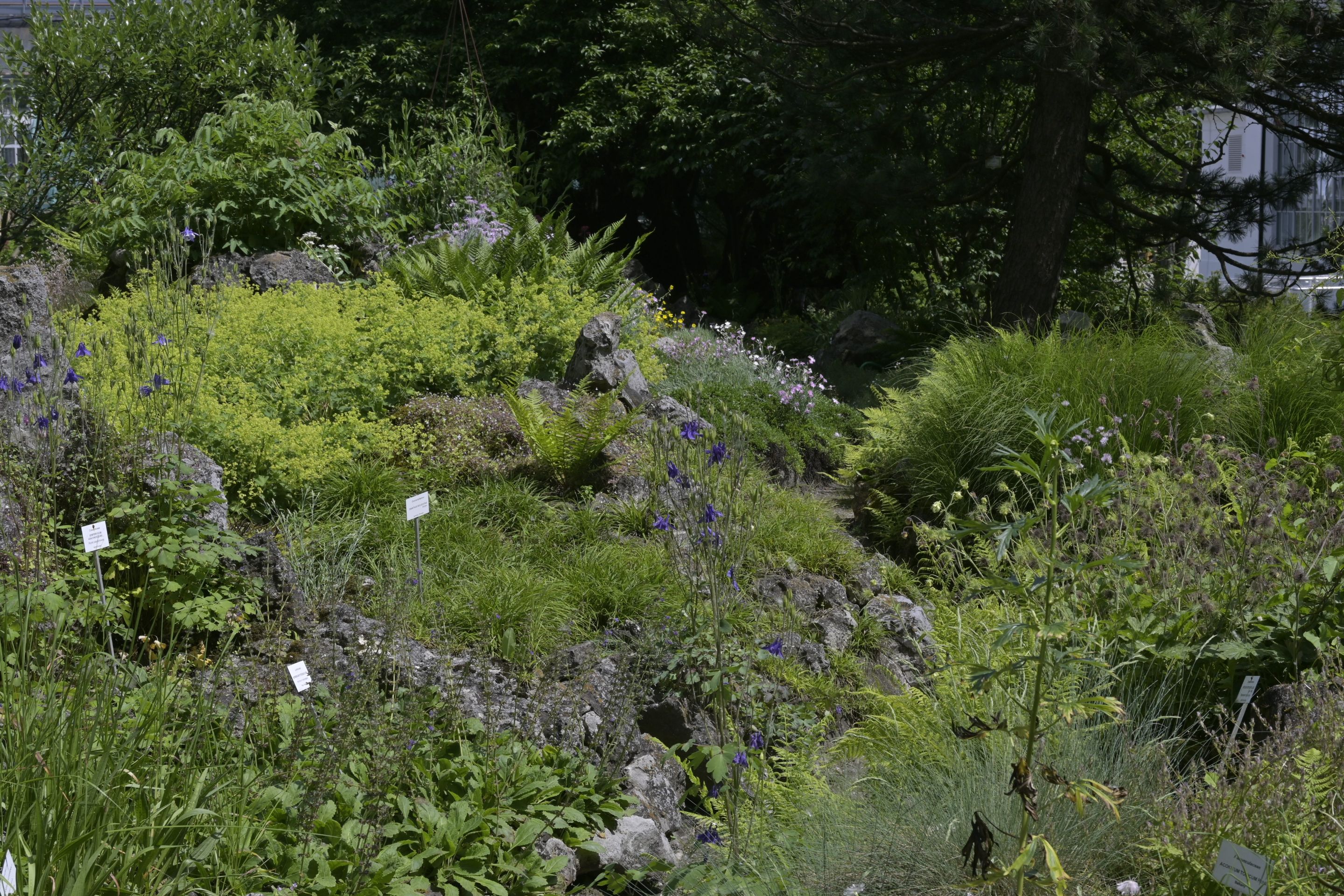 _DSC8049.JPG