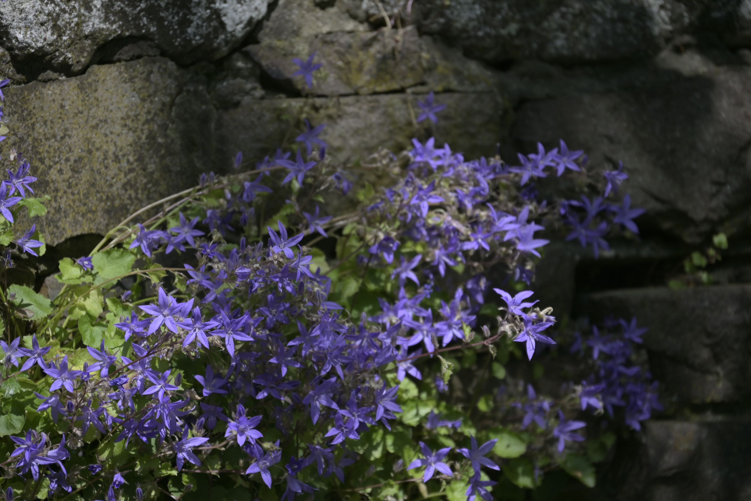 _DSC8044.JPG