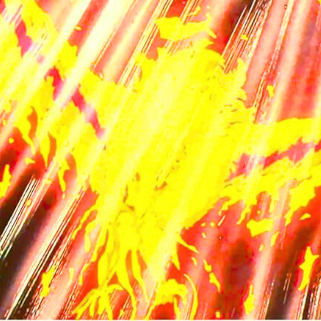 1000348887.png