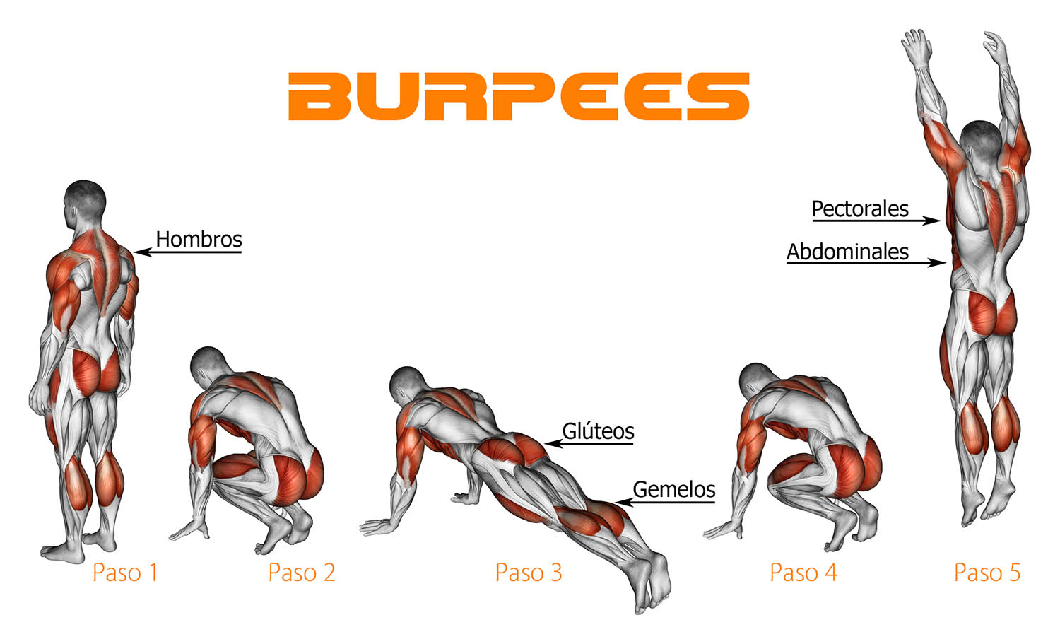 BURPEEES.jpeg