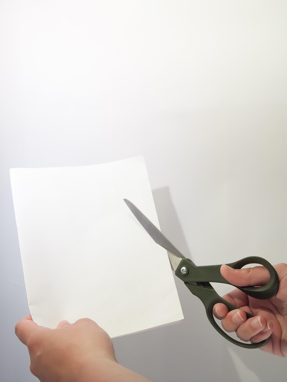 cut-174860_1280.jpg