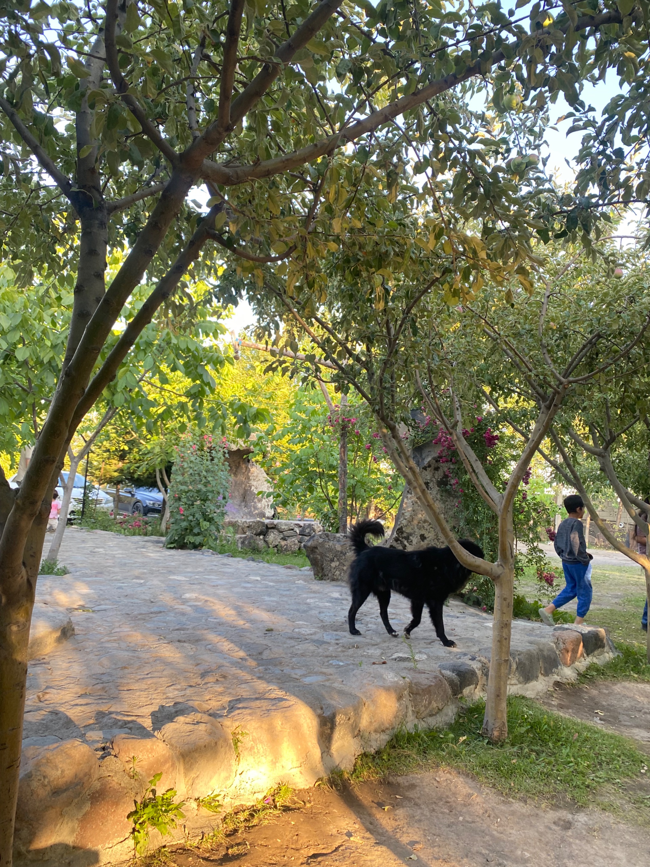 IMG_8840.jpeg