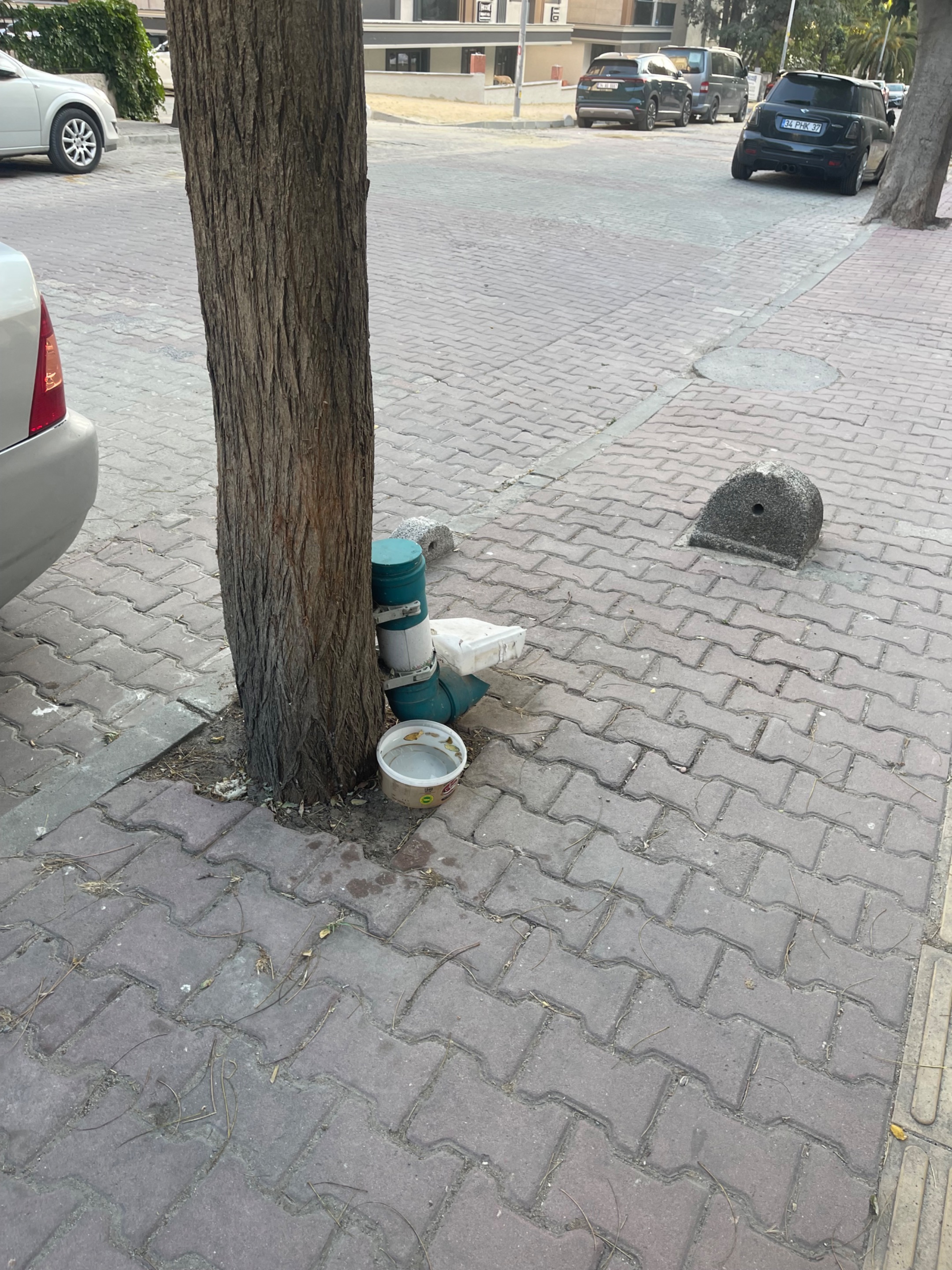 IMG_0811.jpeg