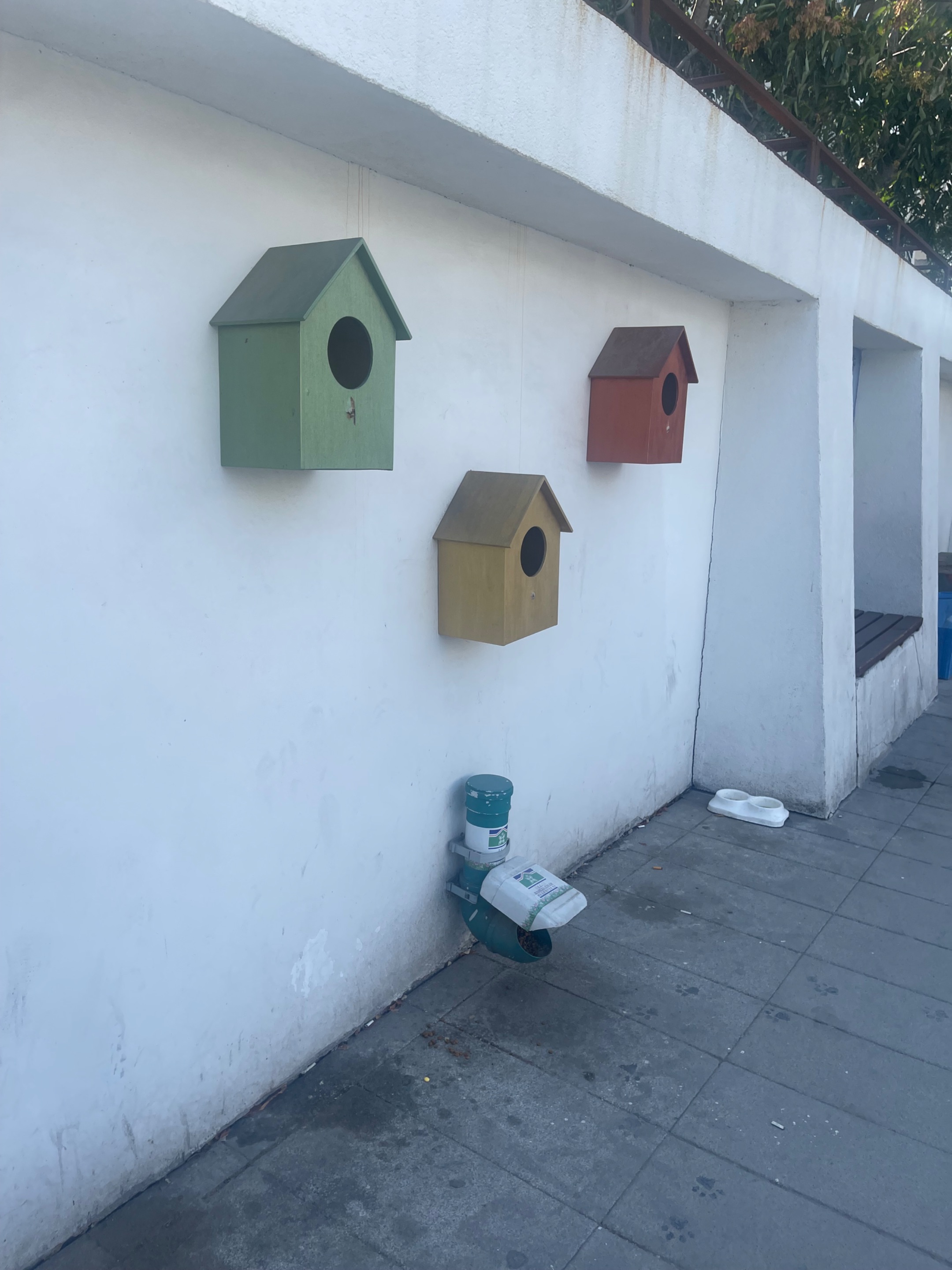 IMG_0801.jpeg