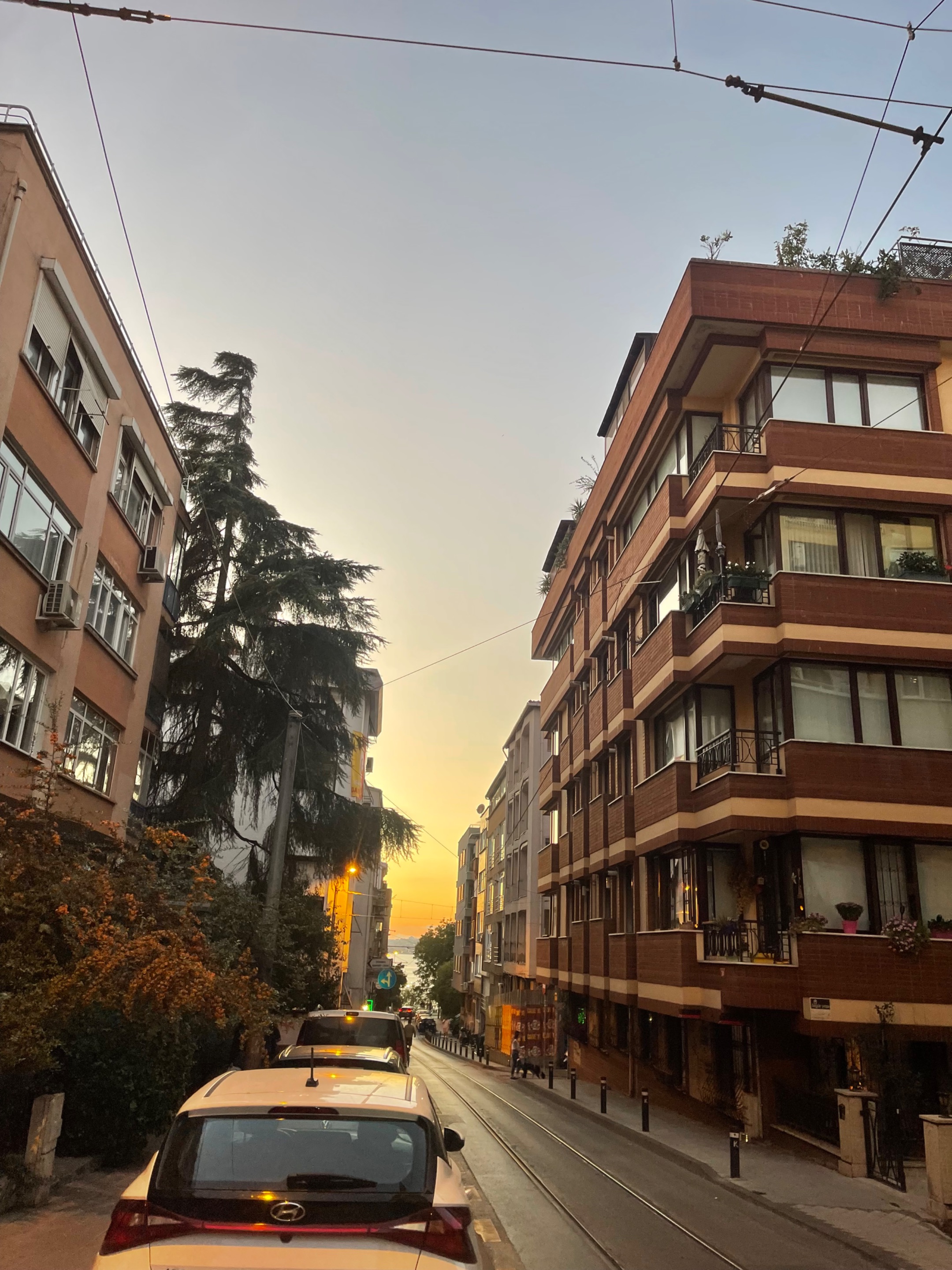 IMG_1834.jpeg